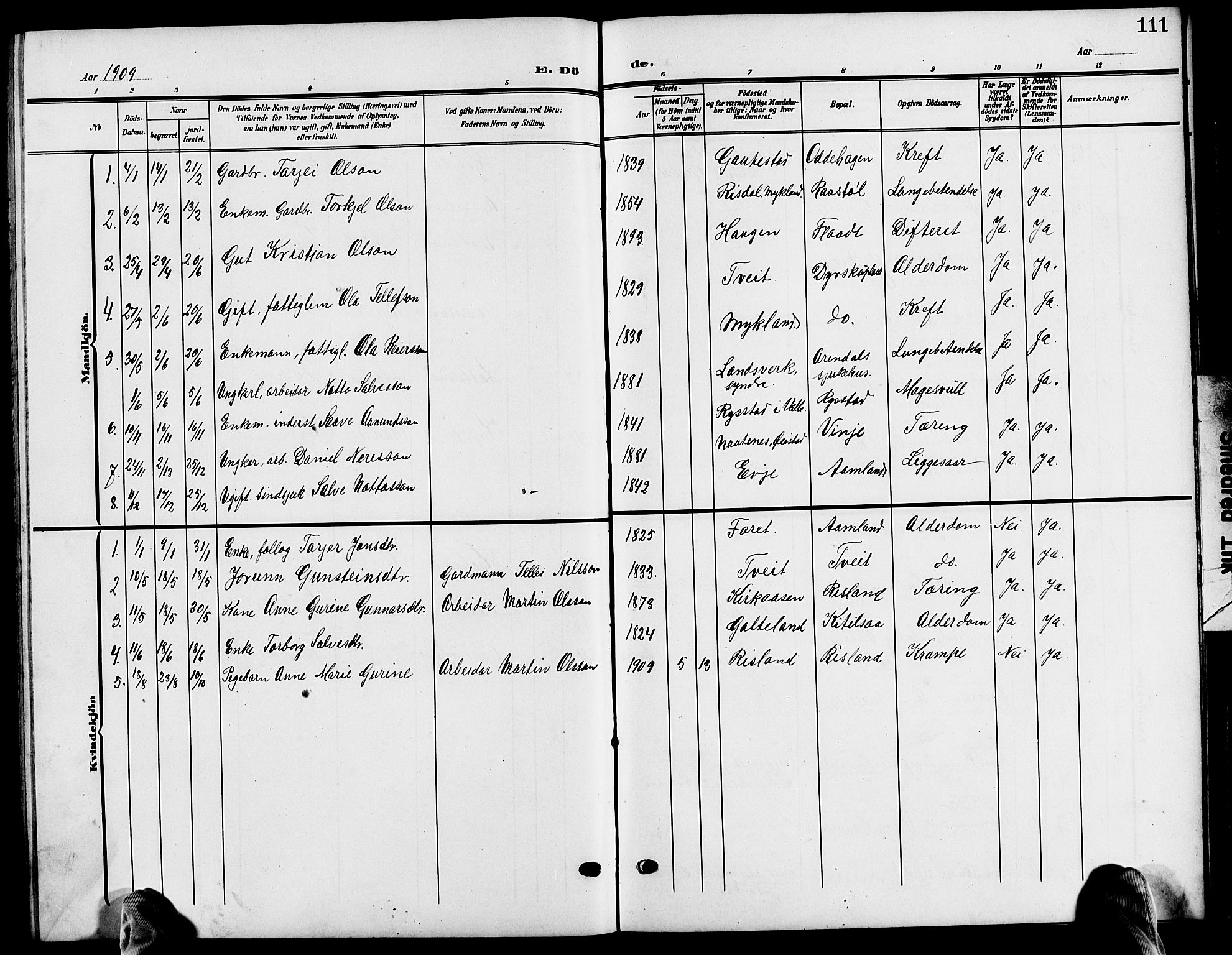 Evje sokneprestkontor, AV/SAK-1111-0008/F/Fb/Fba/L0004: Parish register (copy) no. B 4, 1899-1914, p. 111