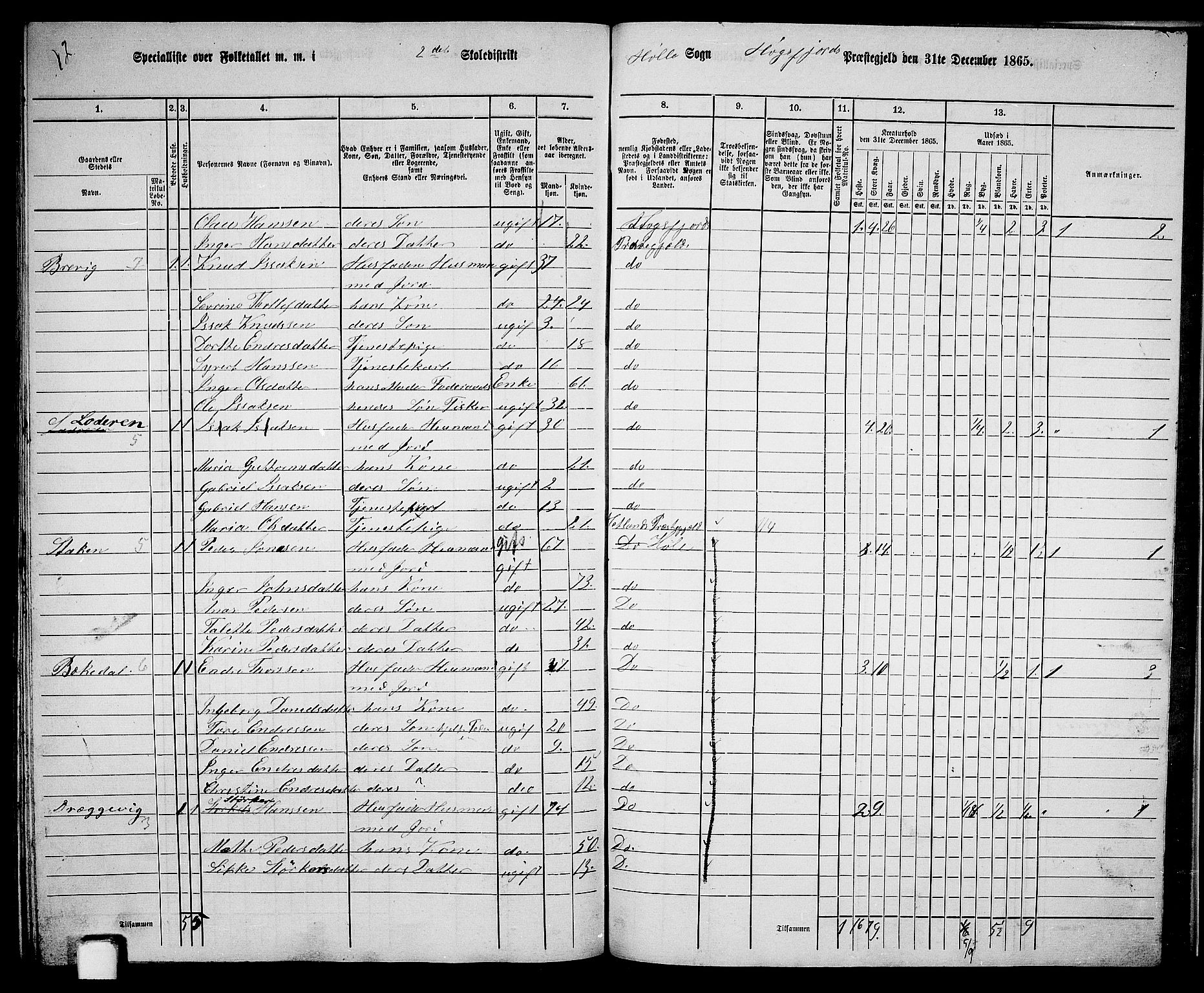 RA, 1865 census for Høgsfjord, 1865, p. 138