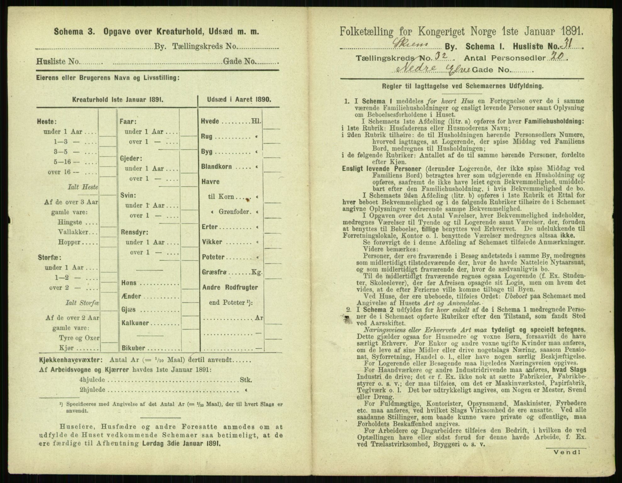 RA, 1891 census for 0806 Skien, 1891, p. 1272