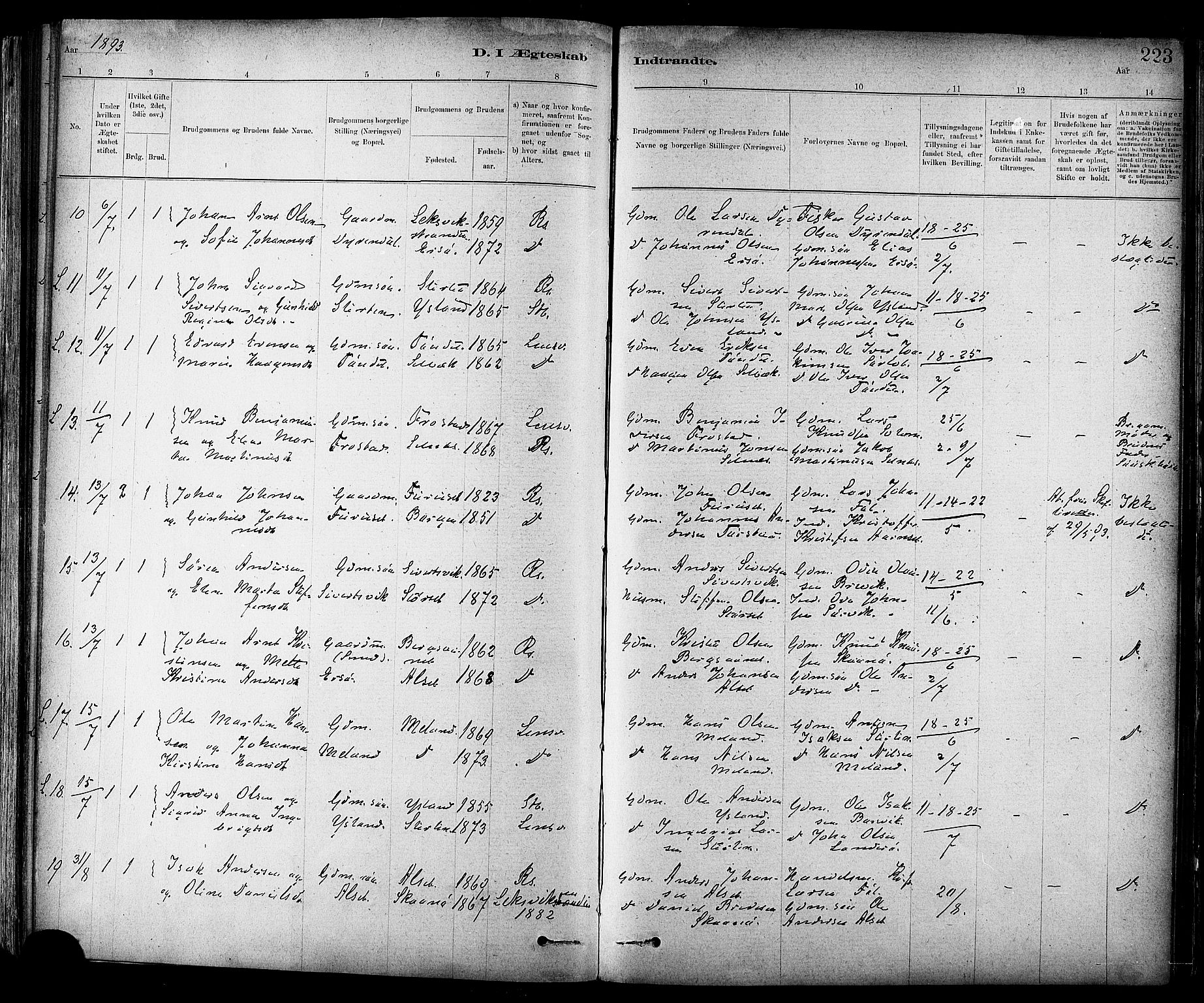 Ministerialprotokoller, klokkerbøker og fødselsregistre - Sør-Trøndelag, SAT/A-1456/647/L0634: Parish register (official) no. 647A01, 1885-1896, p. 223