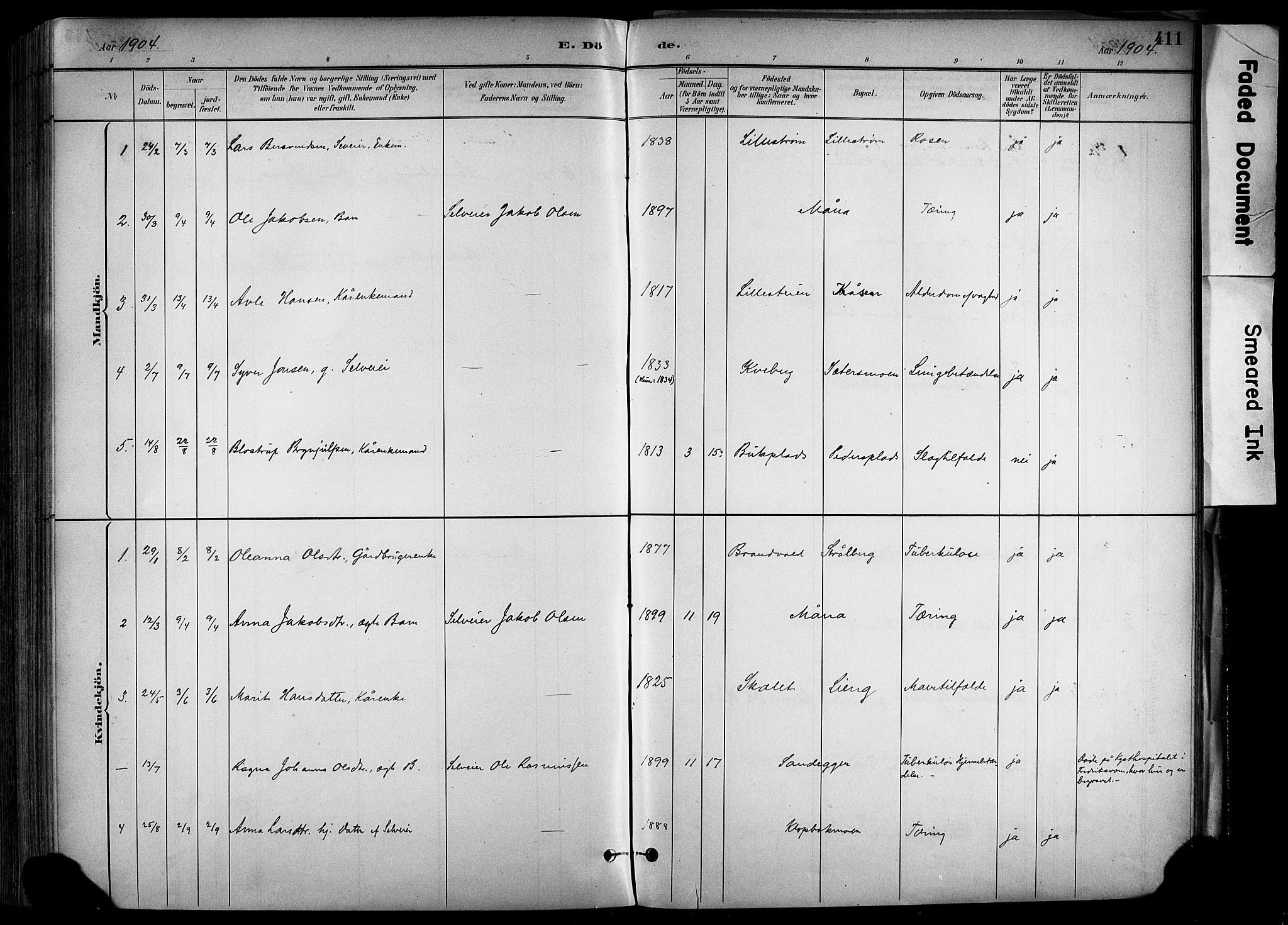 Alvdal prestekontor, SAH/PREST-060/H/Ha/Haa/L0002: Parish register (official) no. 2, 1883-1906, p. 411