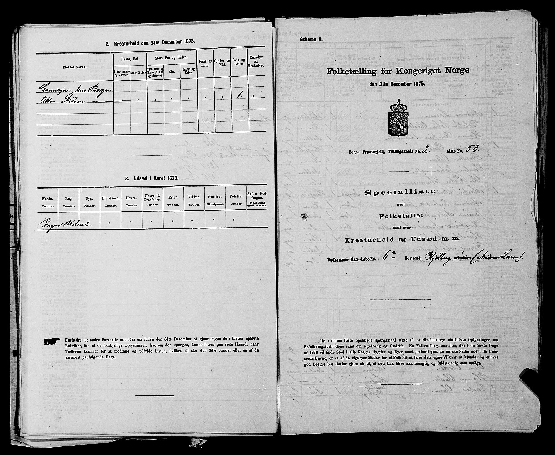 RA, 1875 census for 0113P Borge, 1875, p. 226