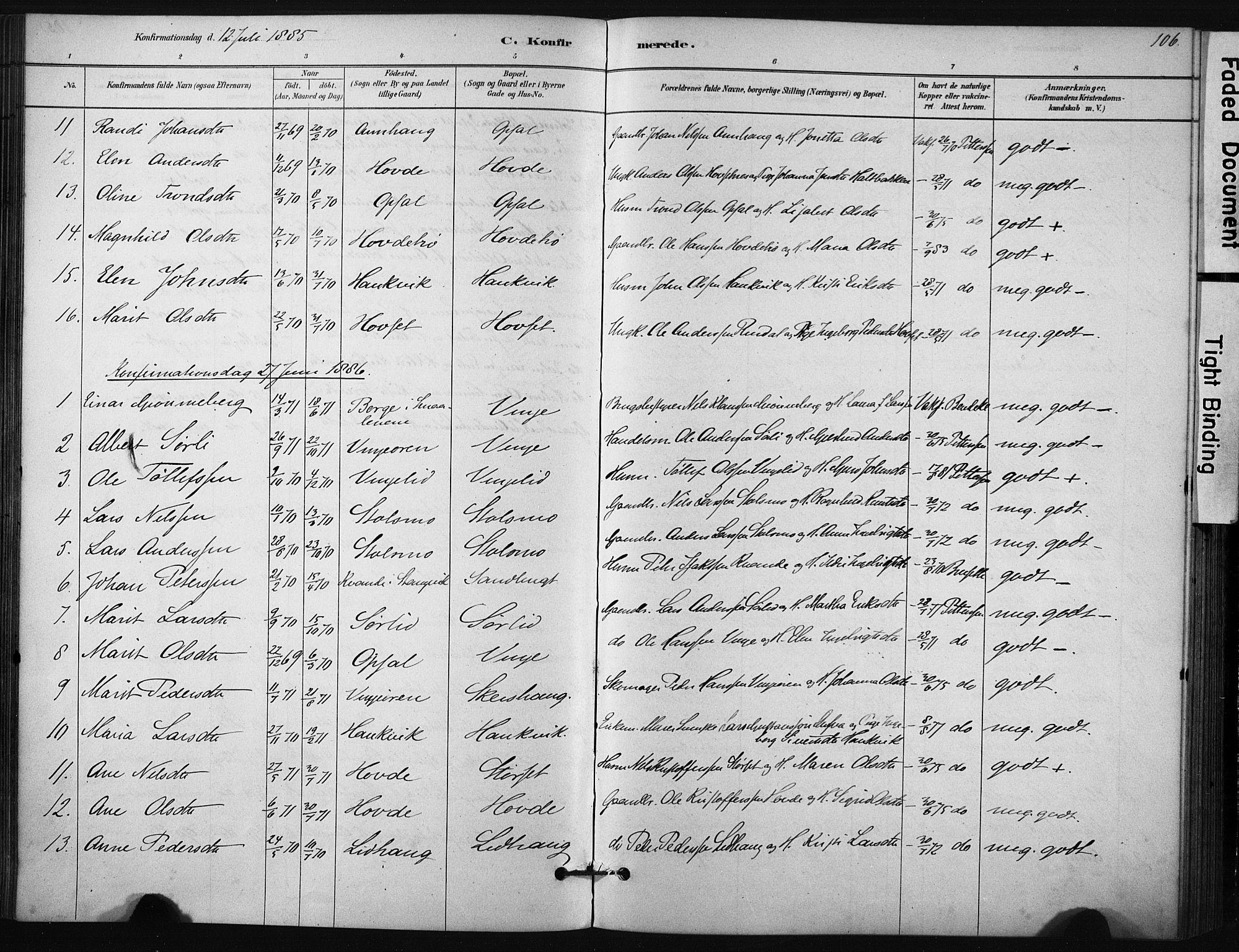 Ministerialprotokoller, klokkerbøker og fødselsregistre - Sør-Trøndelag, AV/SAT-A-1456/631/L0512: Parish register (official) no. 631A01, 1879-1912, p. 106