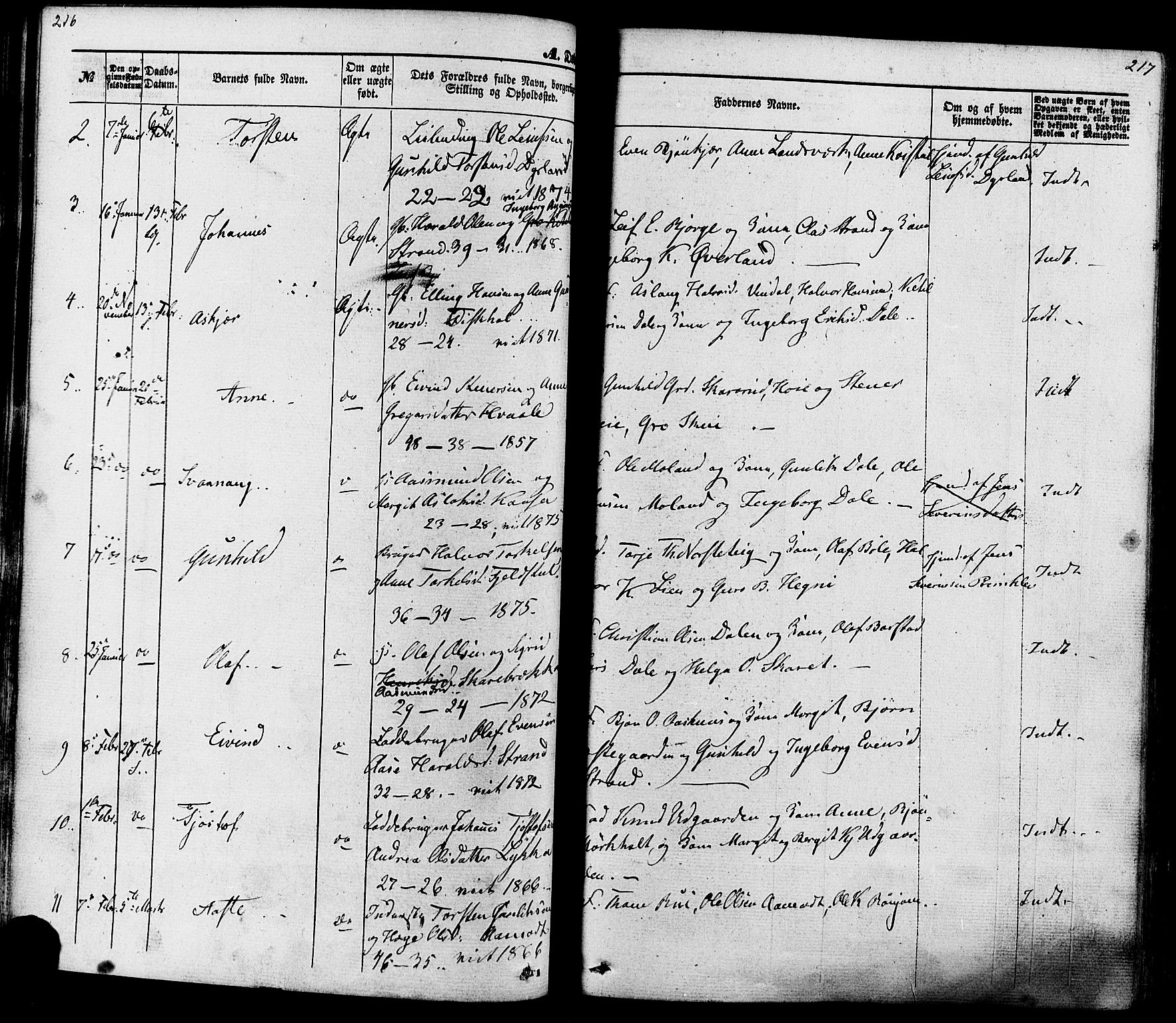 Seljord kirkebøker, SAKO/A-20/F/Fa/L0013: Parish register (official) no. I 13, 1866-1876, p. 216-217
