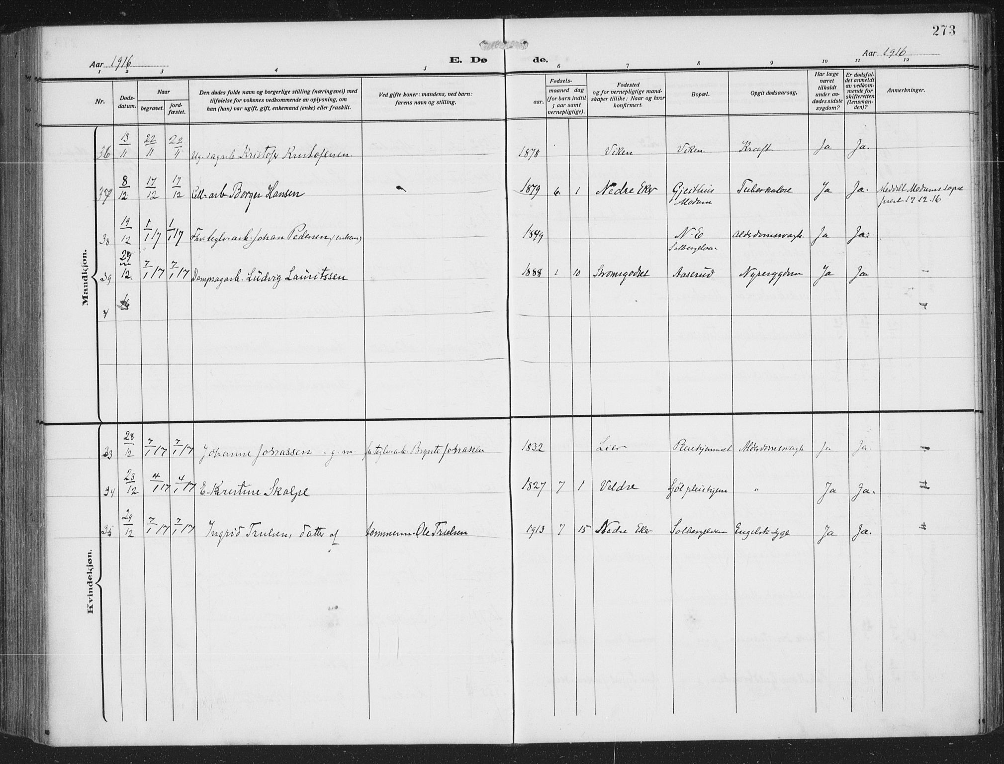 Nedre Eiker kirkebøker, AV/SAKO-A-612/F/Fa/L0007: Parish register (official) no. 7, 1912-1918, p. 273