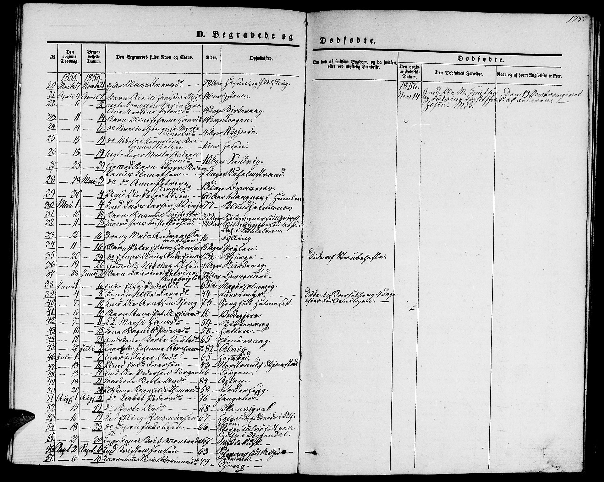 Ministerialprotokoller, klokkerbøker og fødselsregistre - Møre og Romsdal, AV/SAT-A-1454/528/L0427: Parish register (copy) no. 528C08, 1855-1864, p. 175