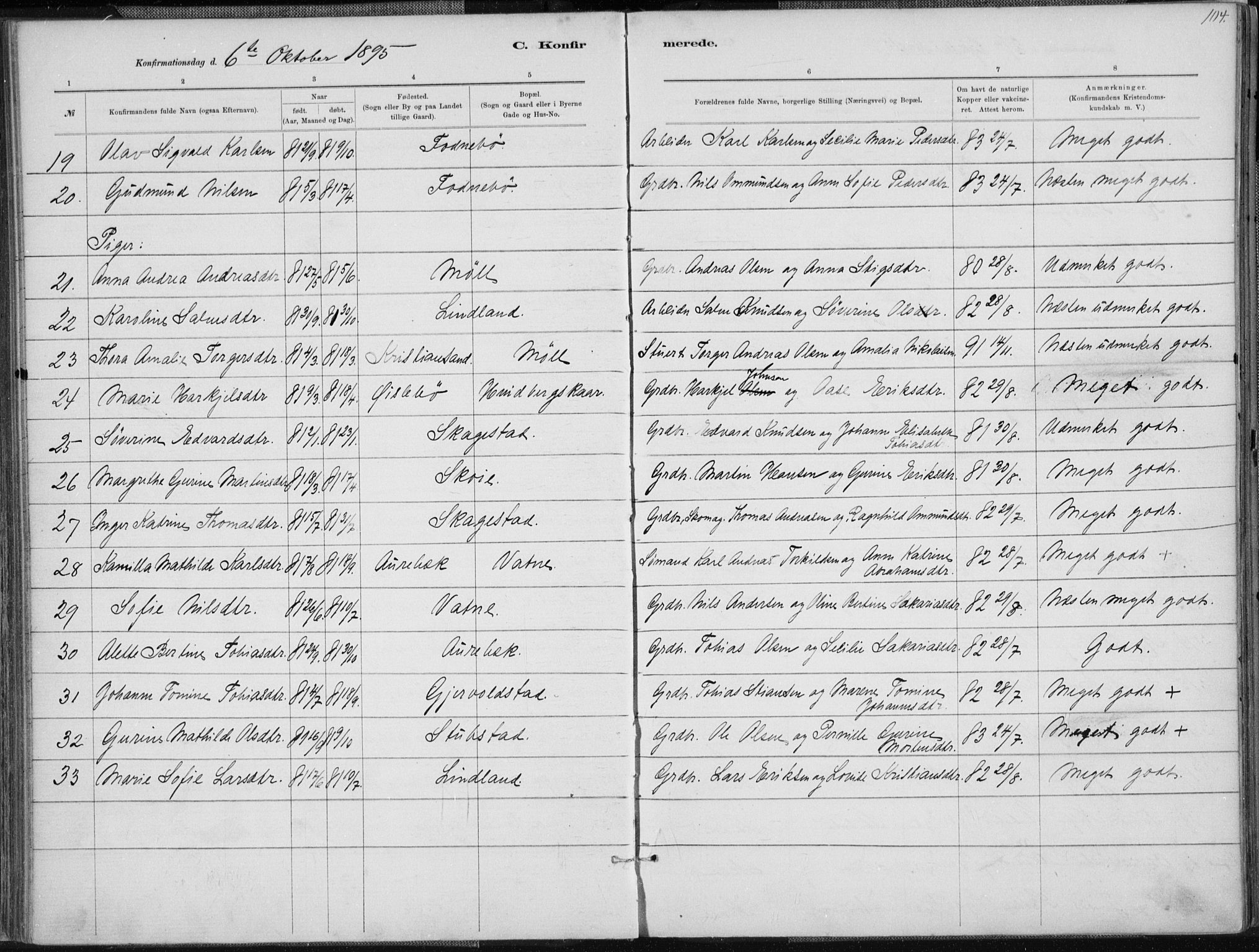 Holum sokneprestkontor, SAK/1111-0022/F/Fa/Faa/L0007: Parish register (official) no. A 7, 1884-1907, p. 104