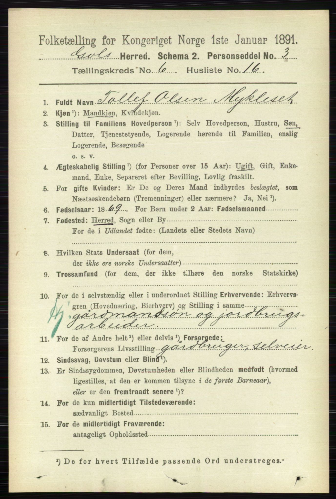 RA, 1891 census for 0617 Gol og Hemsedal, 1891, p. 2502