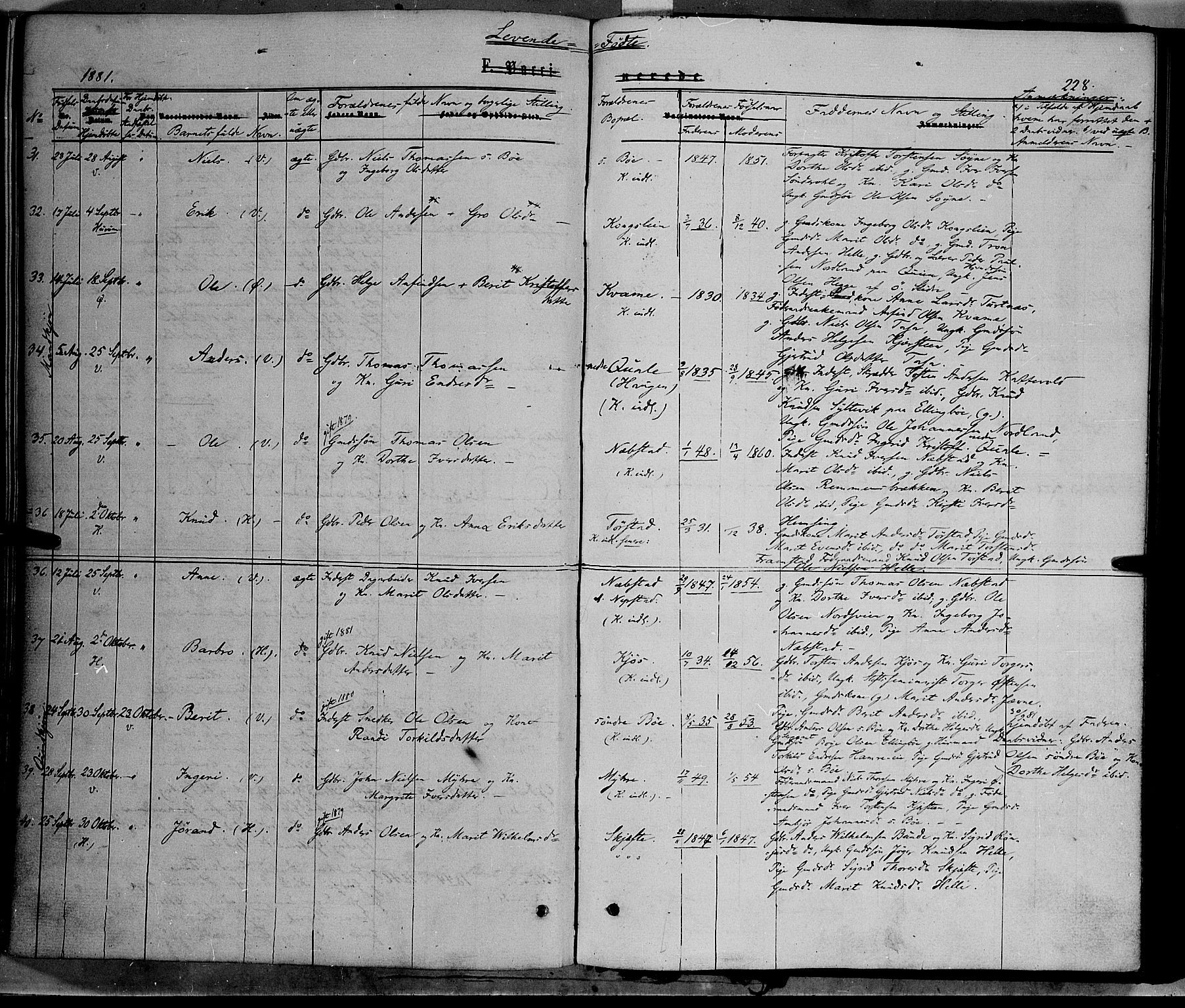 Vang prestekontor, Valdres, AV/SAH-PREST-140/H/Ha/L0007: Parish register (official) no. 7, 1865-1881, p. 228