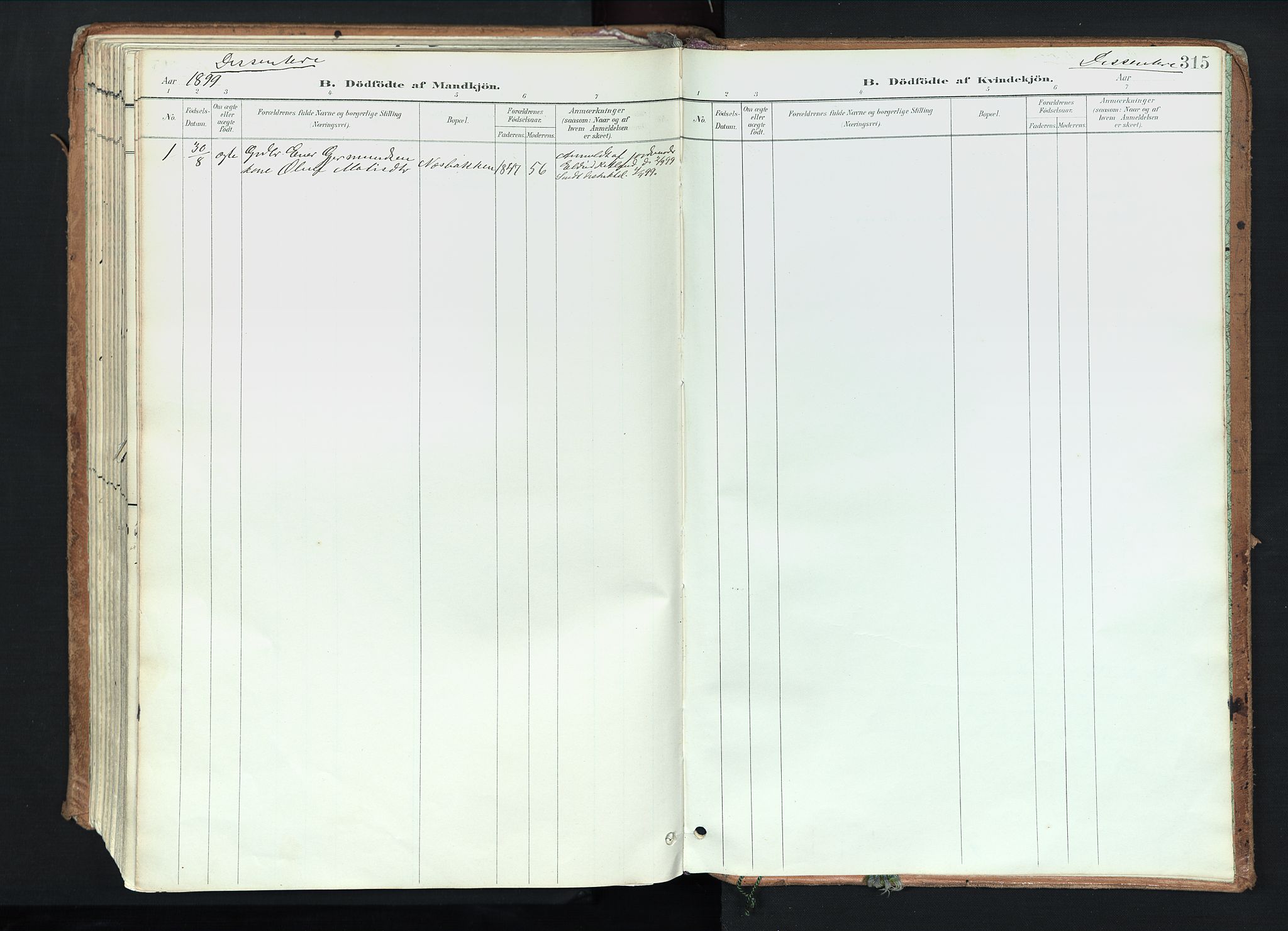Trysil prestekontor, SAH/PREST-046/H/Ha/Haa/L0012: Parish register (official) no. 12, 1898-1917, p. 315