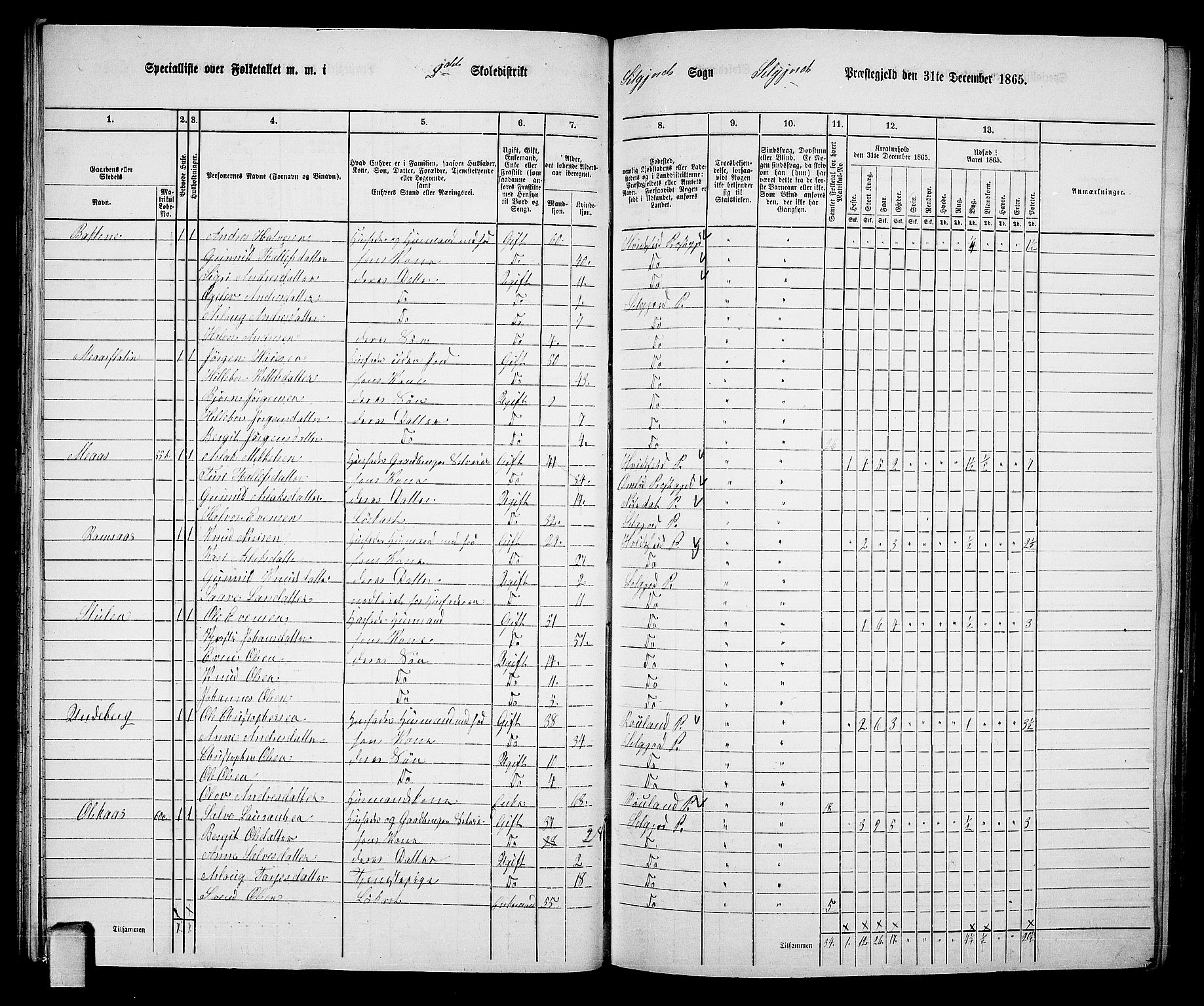 RA, 1865 census for Seljord, 1865, p. 36