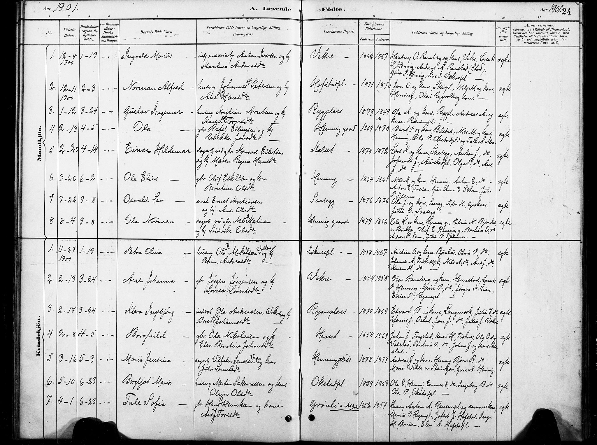 Ministerialprotokoller, klokkerbøker og fødselsregistre - Nord-Trøndelag, SAT/A-1458/738/L0364: Parish register (official) no. 738A01, 1884-1902, p. 24