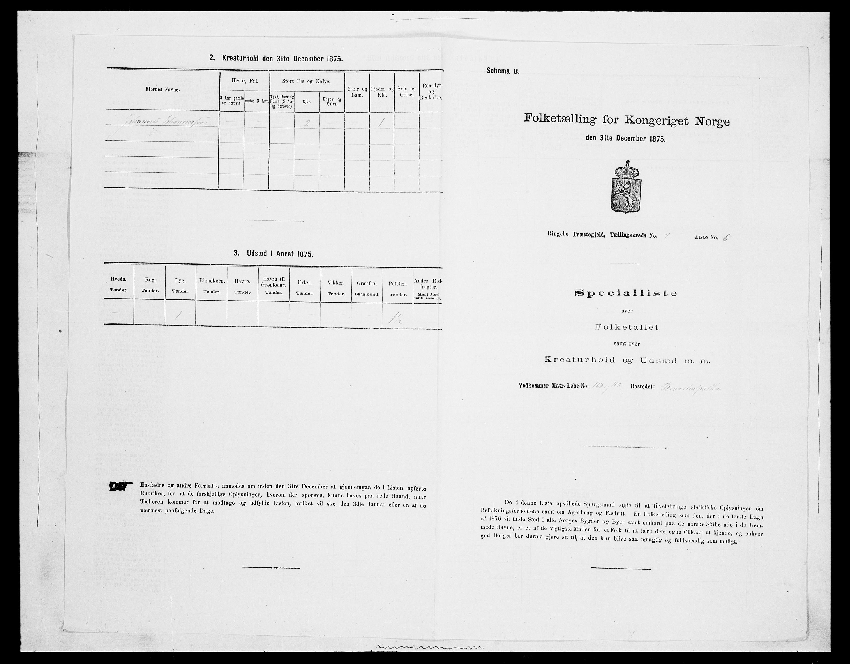 SAH, 1875 census for 0520P Ringebu, 1875, p. 1020