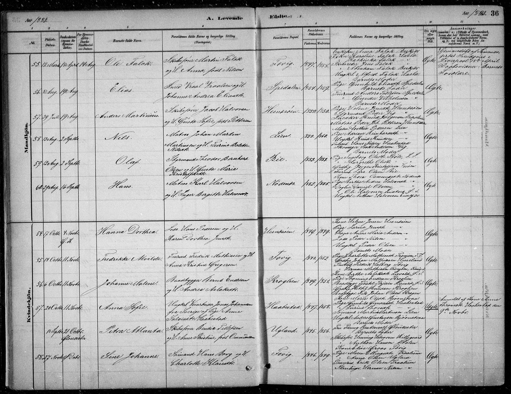Fjære sokneprestkontor, SAK/1111-0011/F/Fb/L0011: Parish register (copy) no. B 11, 1881-1905, p. 36