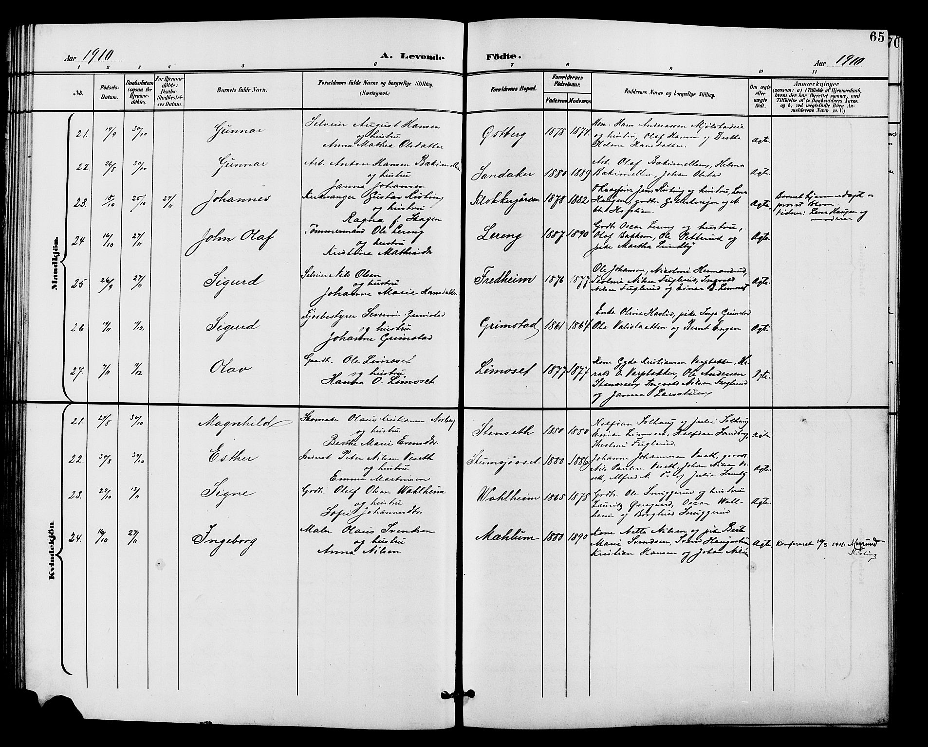 Vardal prestekontor, AV/SAH-PREST-100/H/Ha/Hab/L0011: Parish register (copy) no. 11, 1899-1913, p. 65