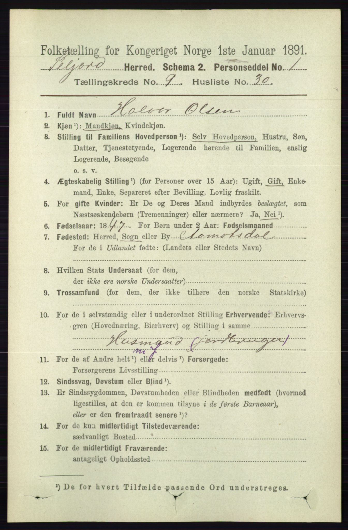 RA, 1891 census for 0828 Seljord, 1891, p. 3330