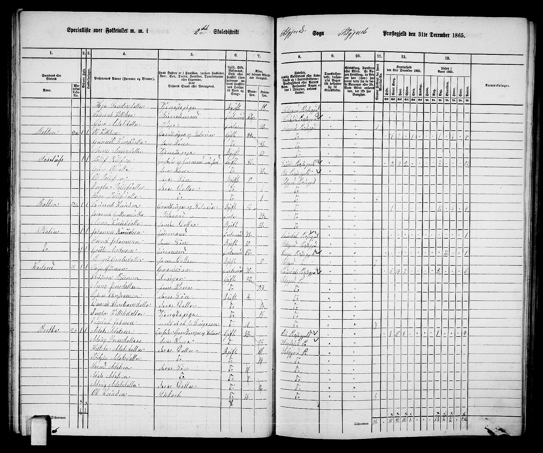 RA, 1865 census for Seljord, 1865, p. 34