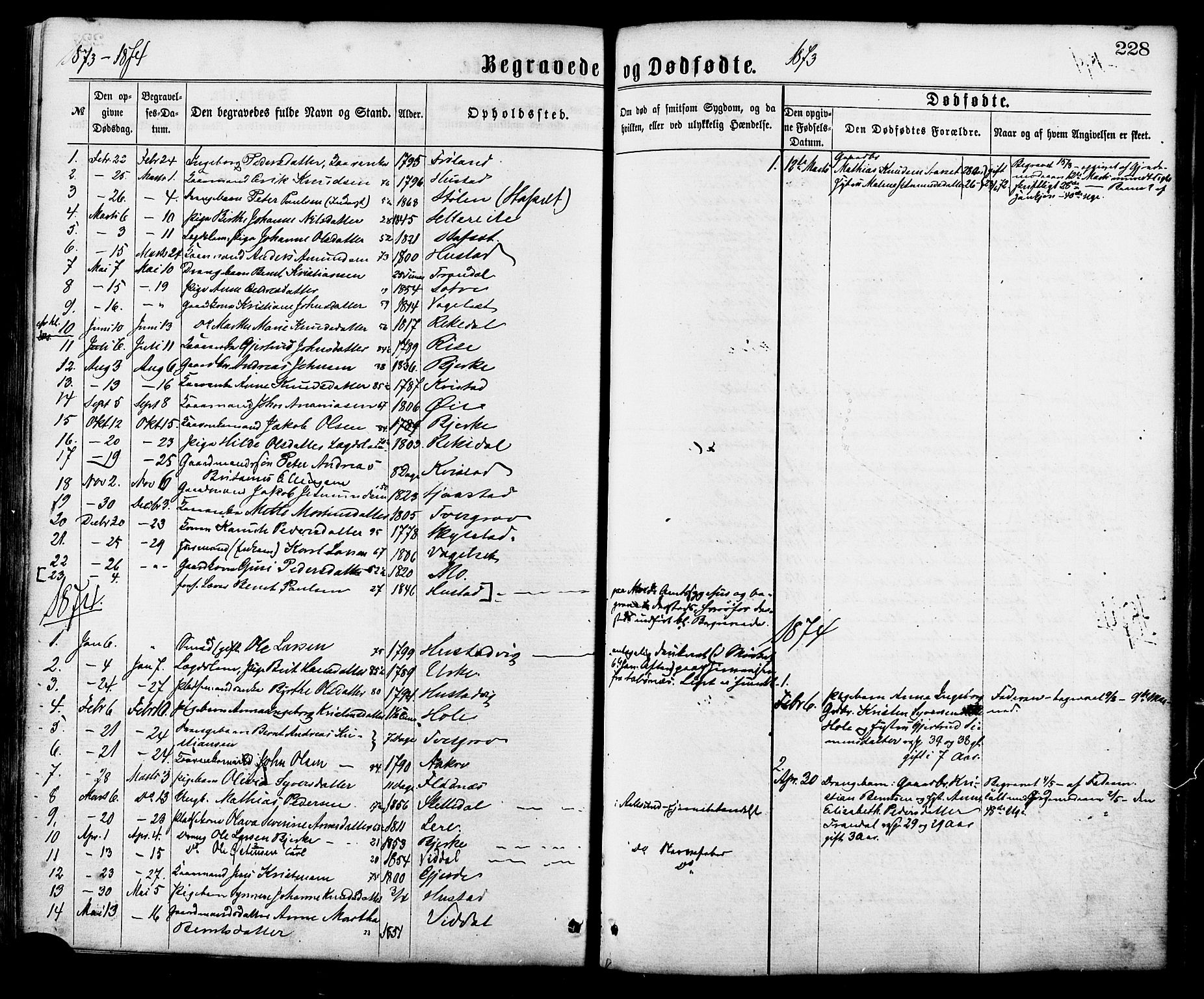 Ministerialprotokoller, klokkerbøker og fødselsregistre - Møre og Romsdal, SAT/A-1454/515/L0210: Parish register (official) no. 515A06, 1868-1885, p. 228