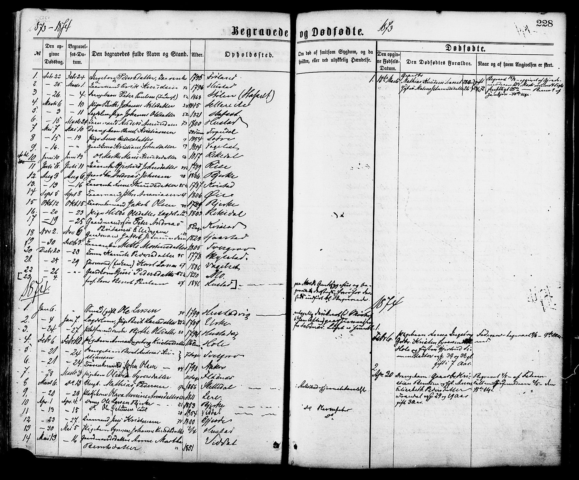 Ministerialprotokoller, klokkerbøker og fødselsregistre - Møre og Romsdal, AV/SAT-A-1454/515/L0210: Parish register (official) no. 515A06, 1868-1885, p. 228