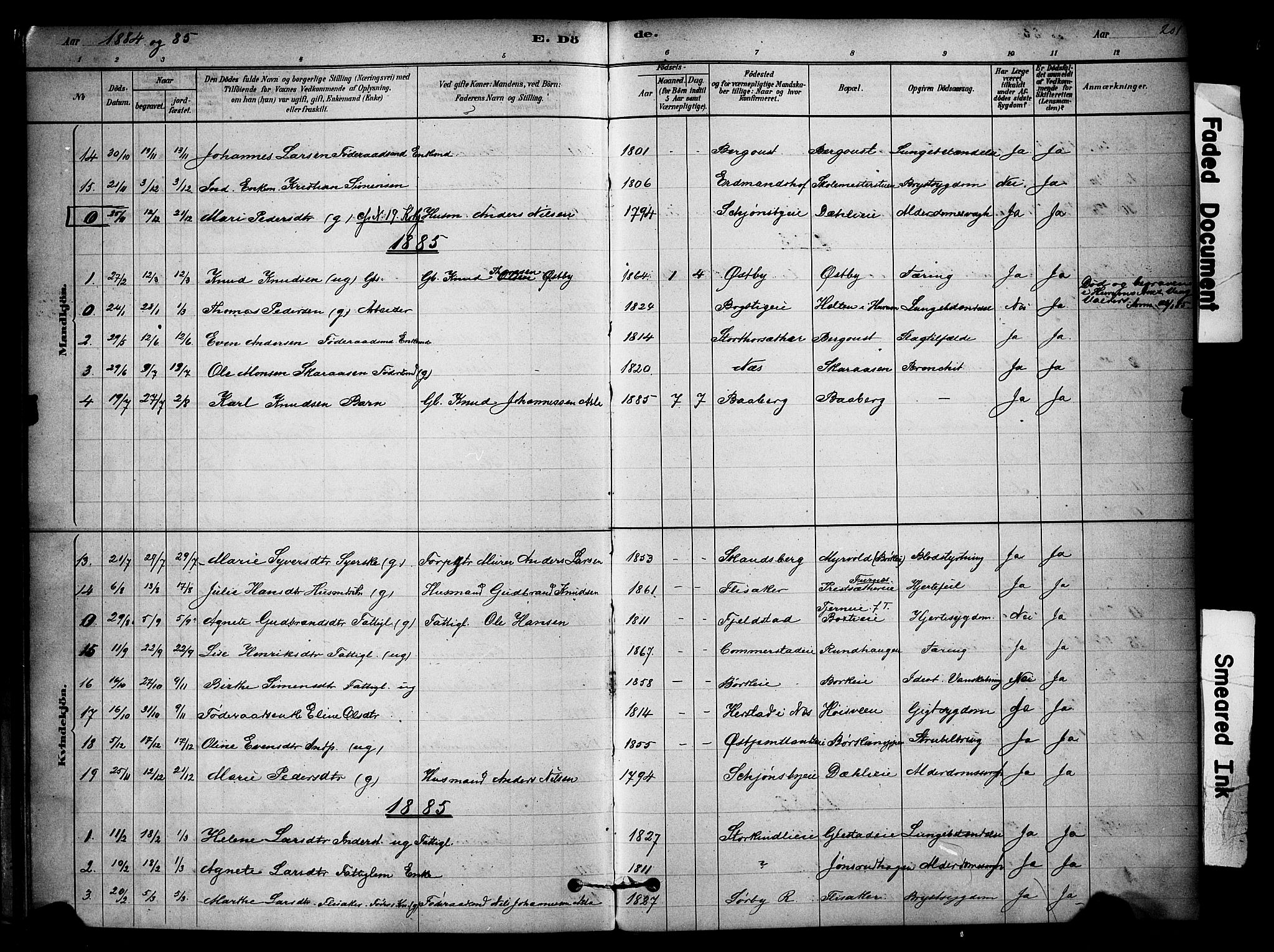 Ringsaker prestekontor, AV/SAH-PREST-014/K/Ka/L0014: Parish register (official) no. 14, 1879-1890, p. 201