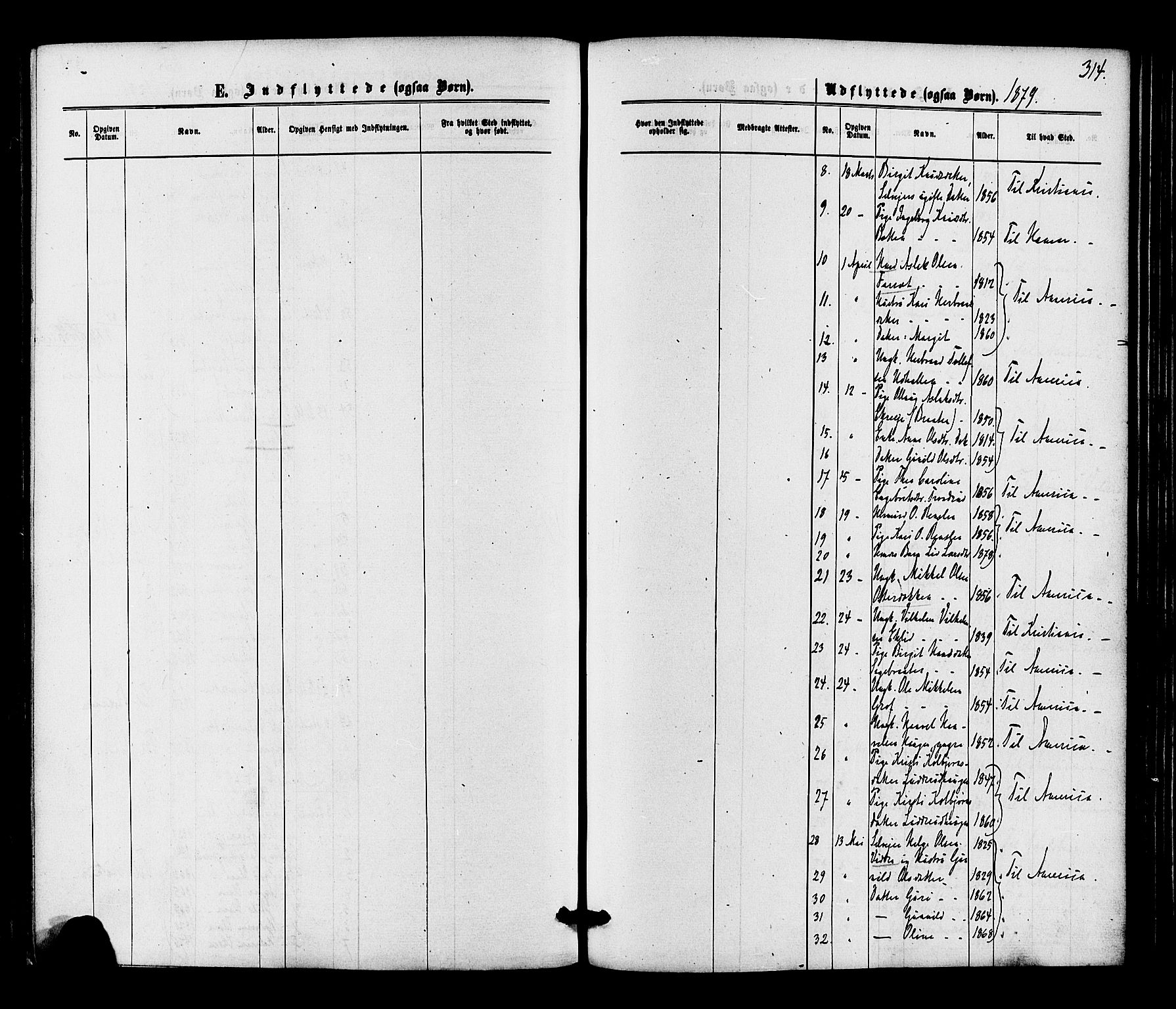 Gol kirkebøker, AV/SAKO-A-226/F/Fa/L0004: Parish register (official) no. I 4, 1876-1886, p. 314