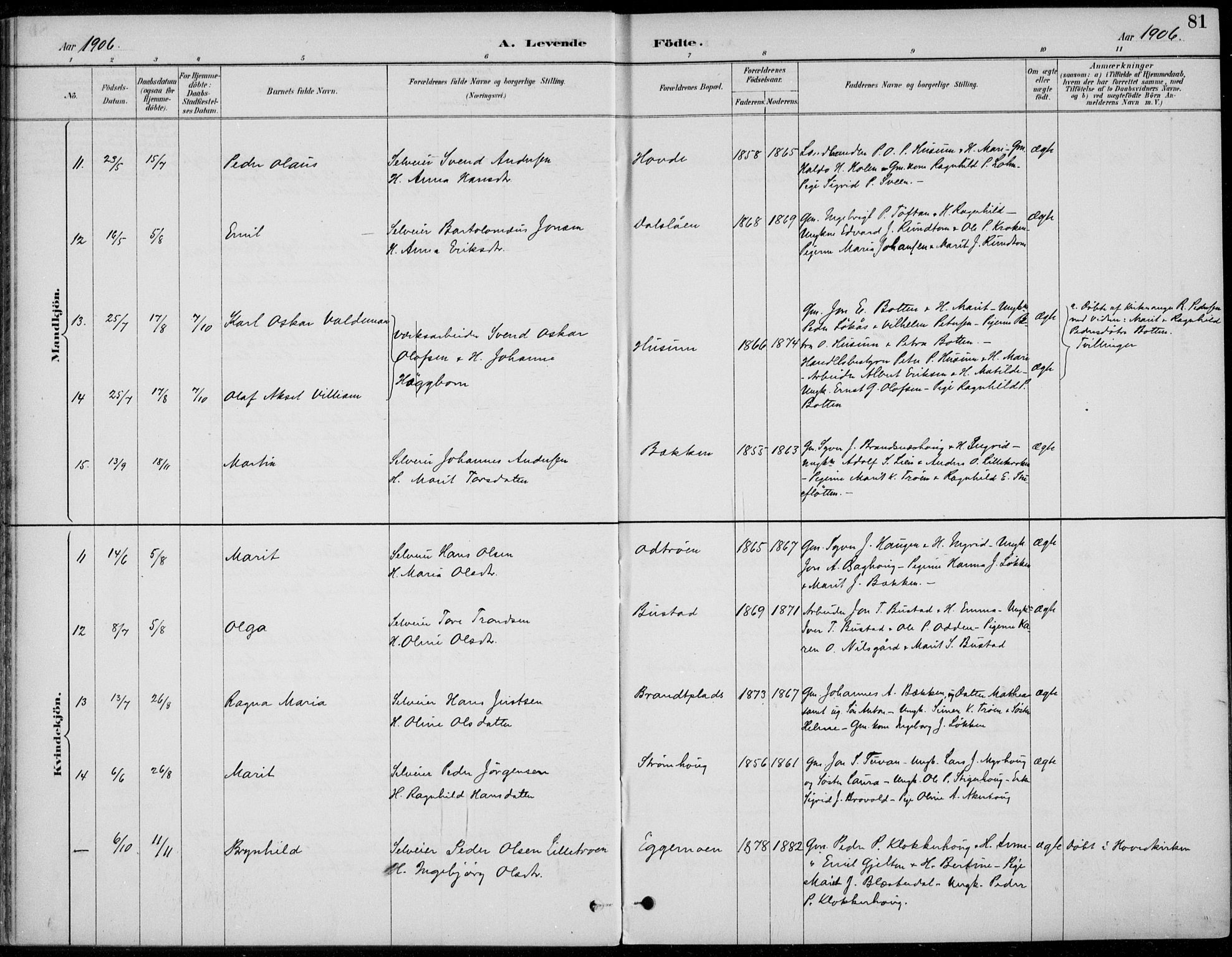 Alvdal prestekontor, AV/SAH-PREST-060/H/Ha/Haa/L0003: Parish register (official) no. 3, 1886-1912, p. 81