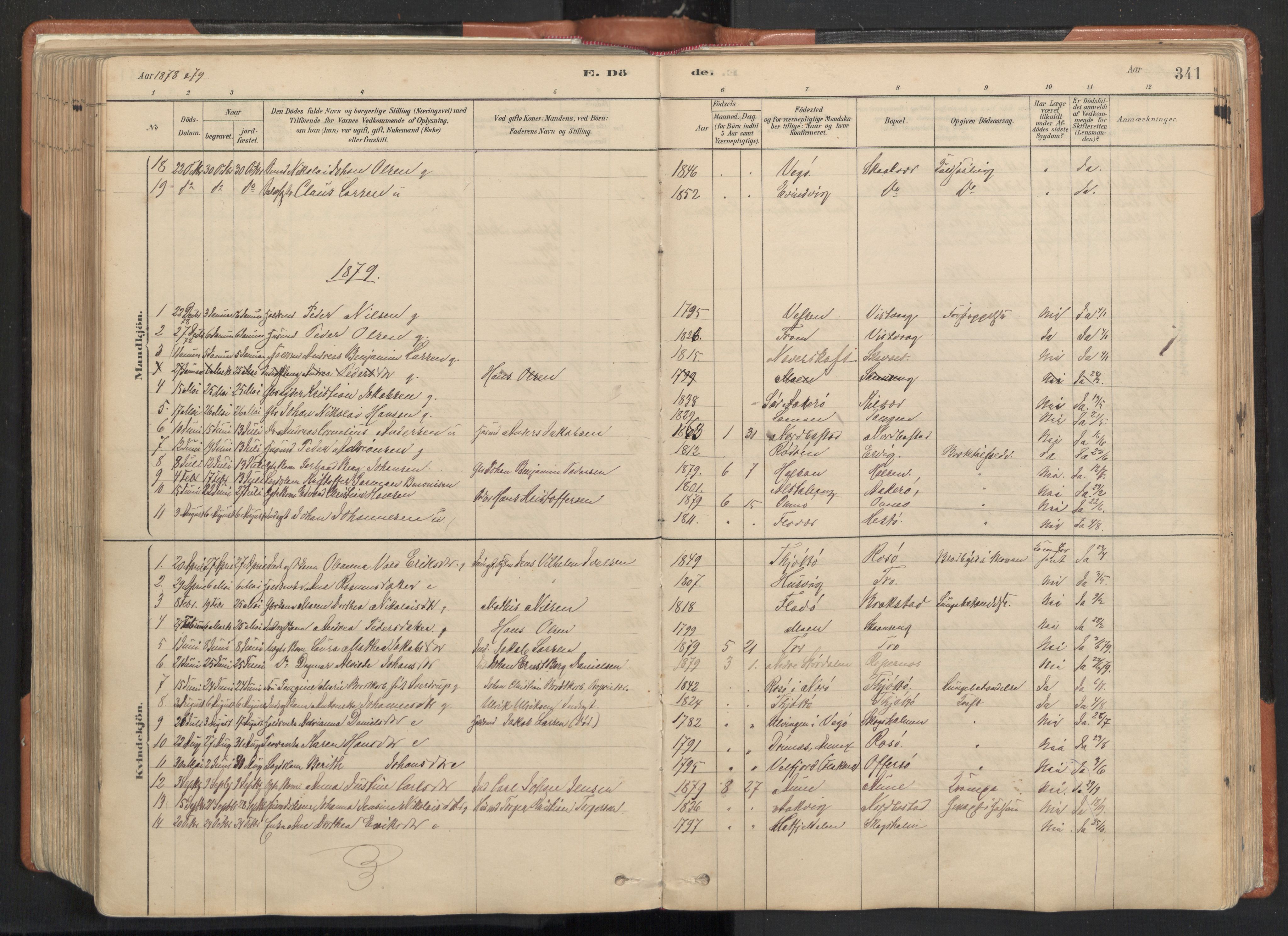 Ministerialprotokoller, klokkerbøker og fødselsregistre - Nordland, SAT/A-1459/817/L0264: Parish register (official) no. 817A04, 1878-1907, p. 341