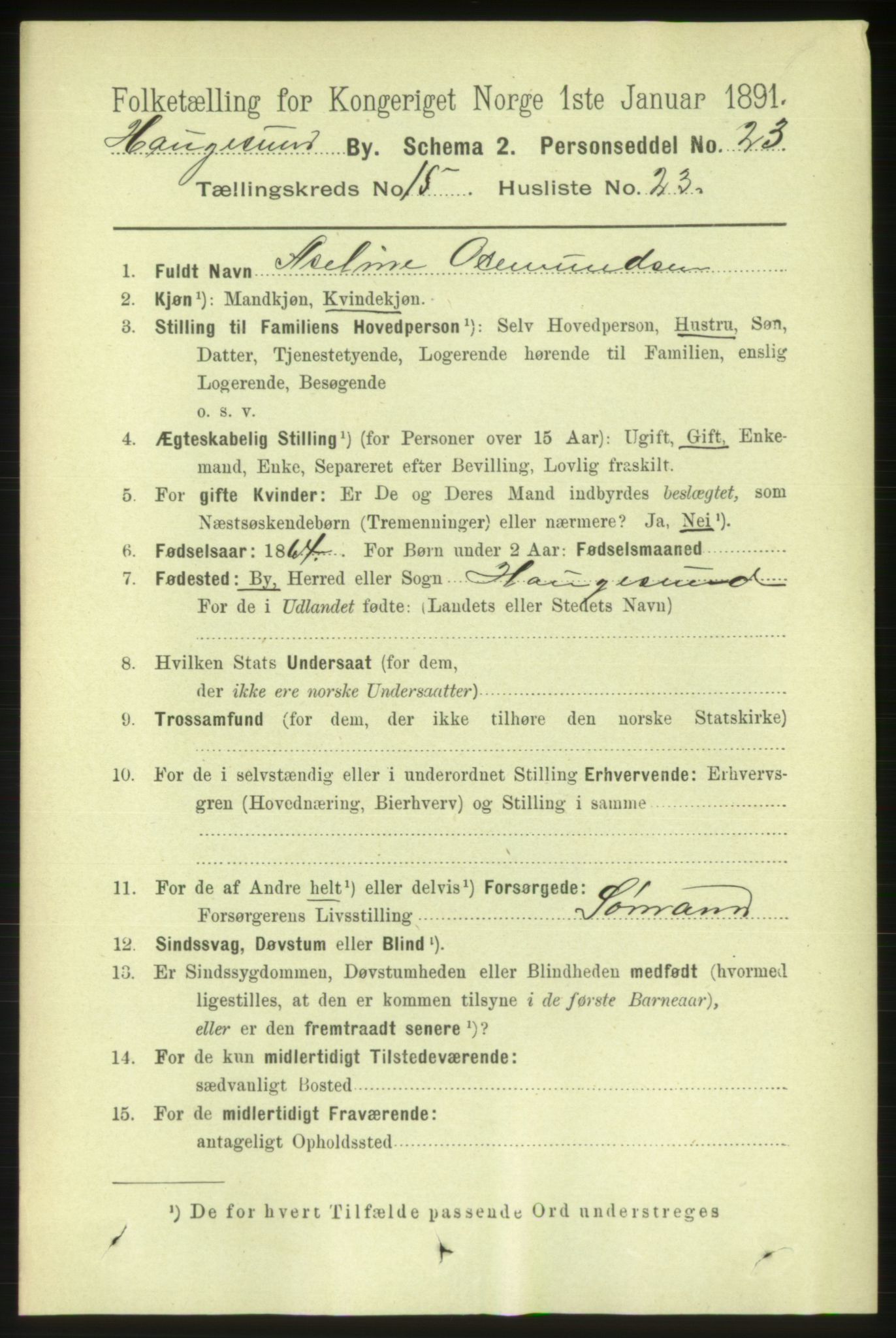 RA, 1891 census for 1106 Haugesund, 1891, p. 5173