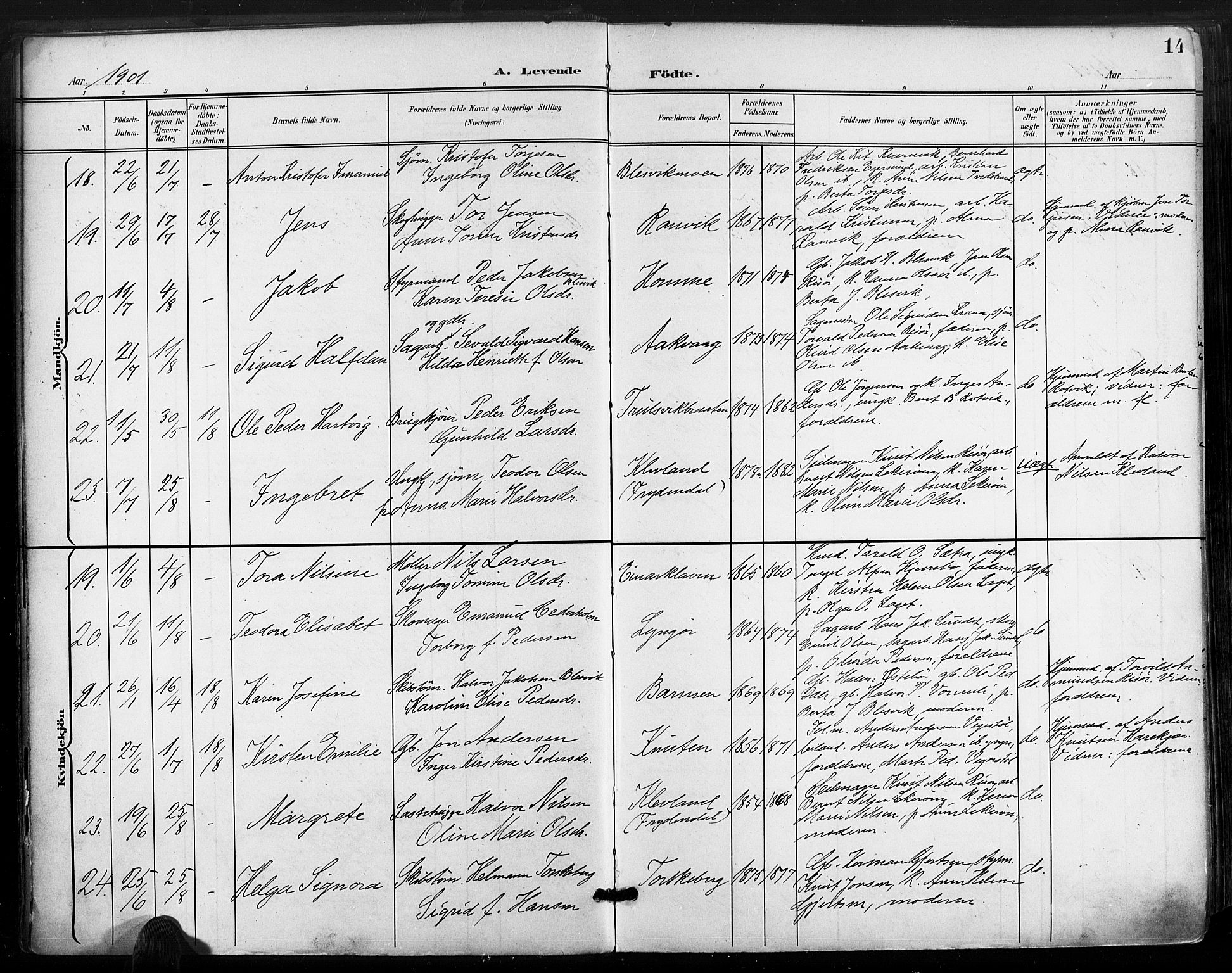 Søndeled sokneprestkontor, AV/SAK-1111-0038/F/Fa/L0006: Parish register (official) no. A 6, 1900-1922, p. 14