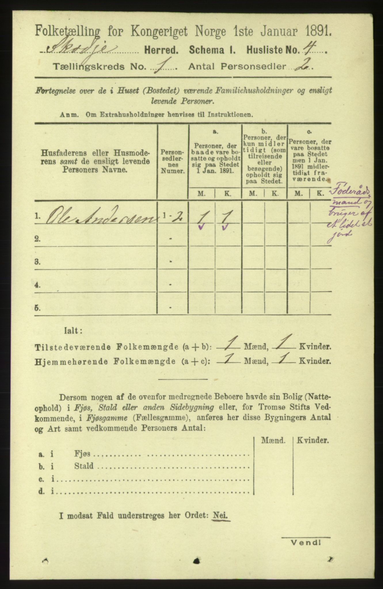 RA, 1891 census for 1529 Skodje, 1891, p. 45