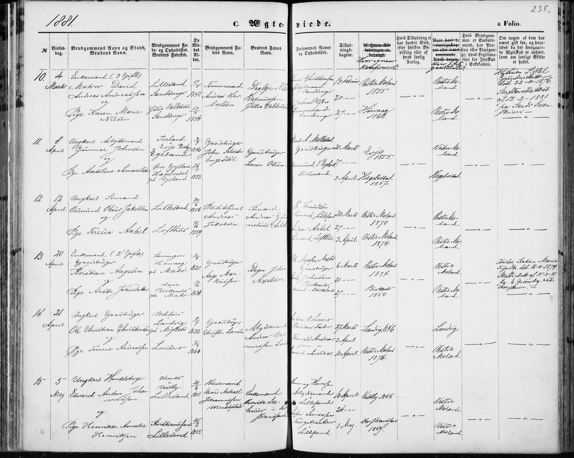 Vestre Moland sokneprestkontor, AV/SAK-1111-0046/F/Fa/Fab/L0008: Parish register (official) no. A 8, 1873-1883, p. 238