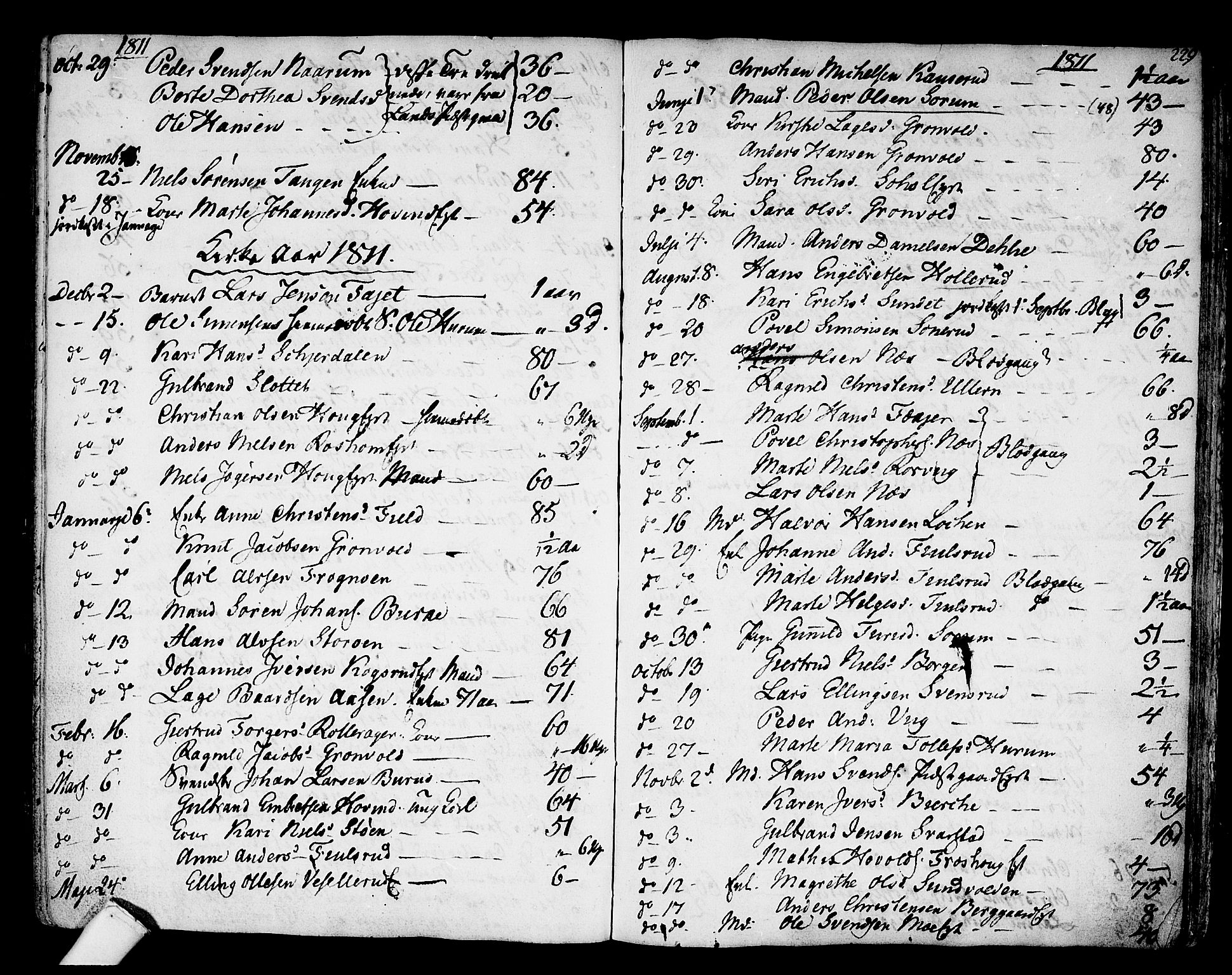 Hole kirkebøker, SAKO/A-228/F/Fa/L0002: Parish register (official) no. I 2, 1766-1814, p. 229