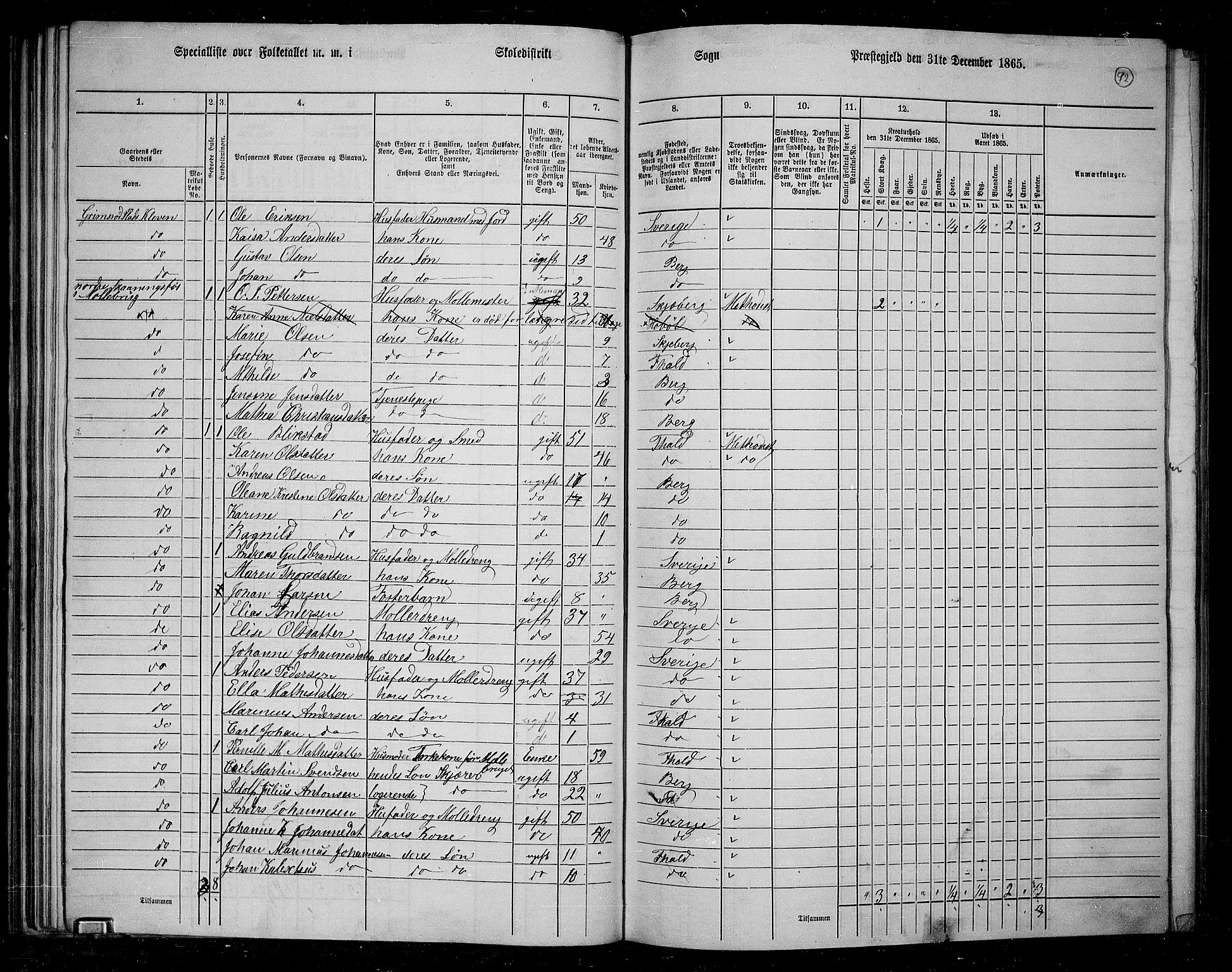 RA, 1865 census for Berg, 1865, p. 81