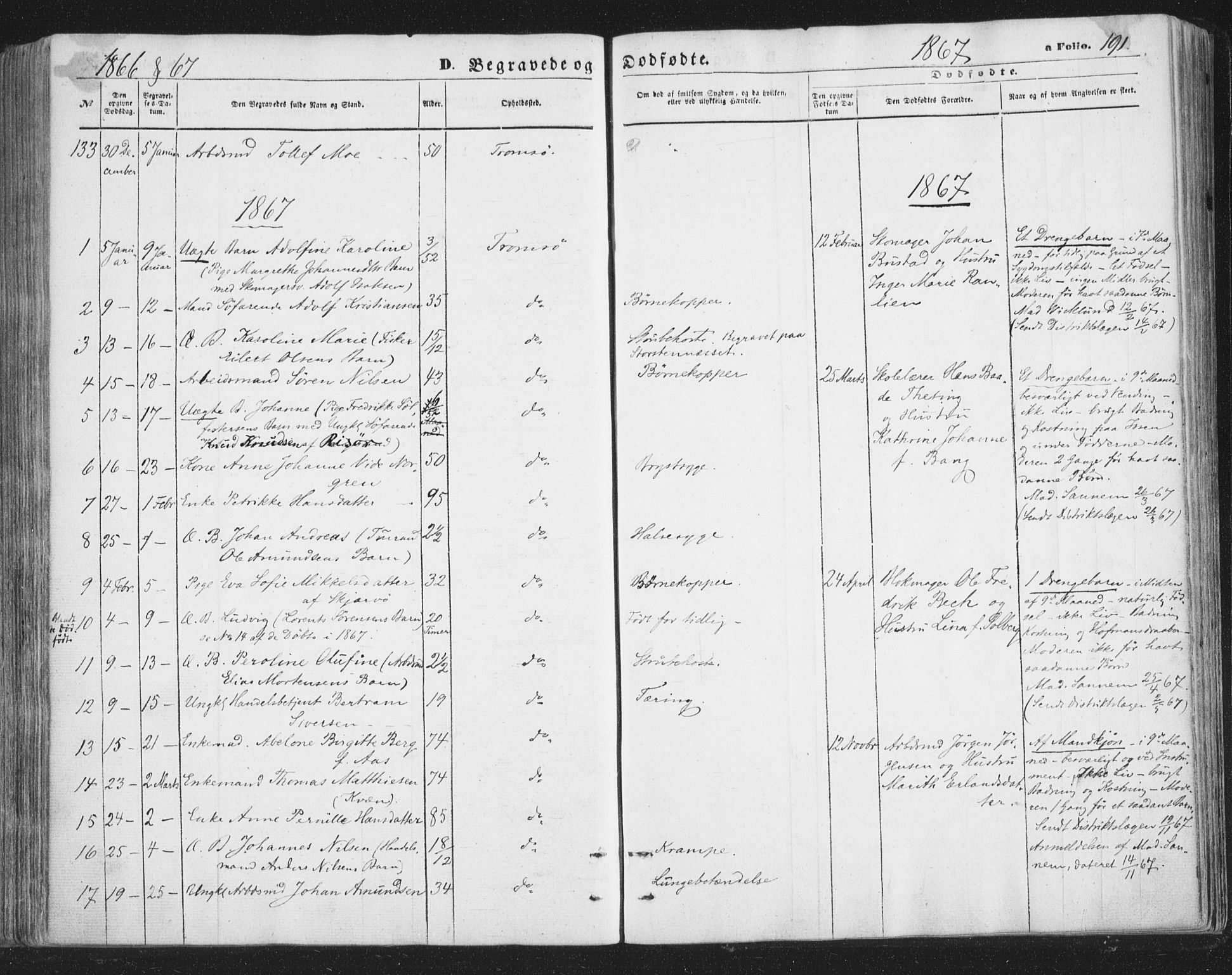 Tromsø sokneprestkontor/stiftsprosti/domprosti, SATØ/S-1343/G/Ga/L0012kirke: Parish register (official) no. 12, 1865-1871, p. 191