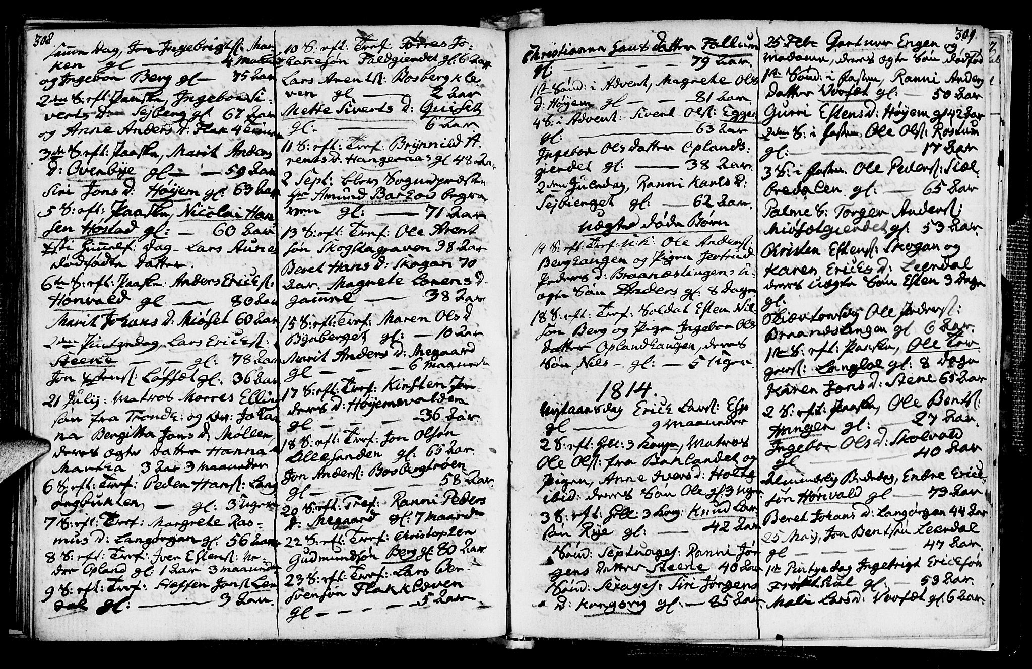Ministerialprotokoller, klokkerbøker og fødselsregistre - Sør-Trøndelag, SAT/A-1456/612/L0371: Parish register (official) no. 612A05, 1803-1816, p. 308-309