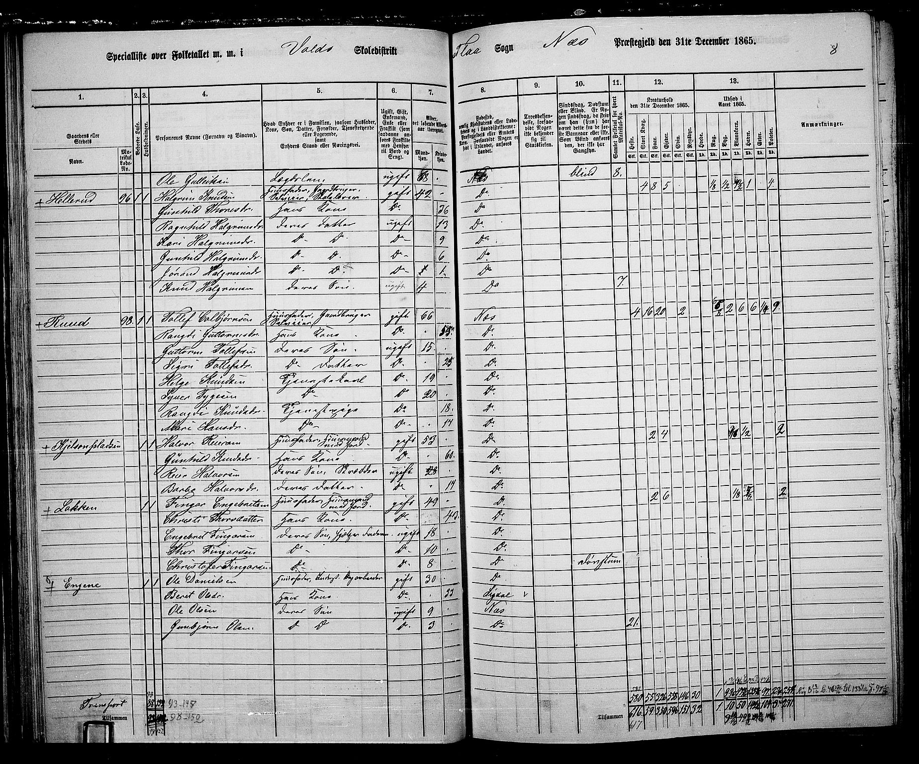 RA, 1865 census for Nes, 1865, p. 64