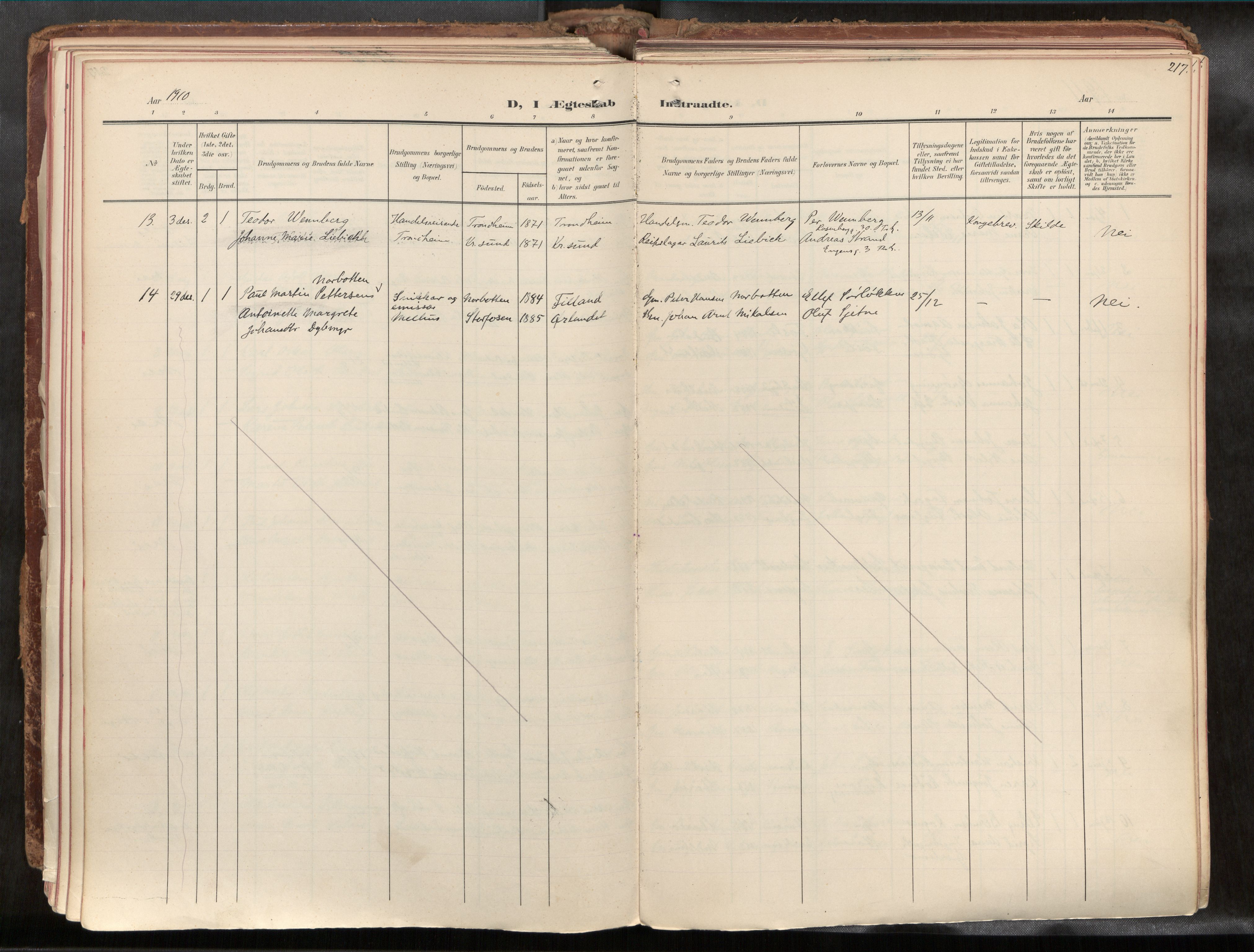 Ministerialprotokoller, klokkerbøker og fødselsregistre - Sør-Trøndelag, AV/SAT-A-1456/691/L1085b: Parish register (official) no. 691A18, 1908-1930, p. 217