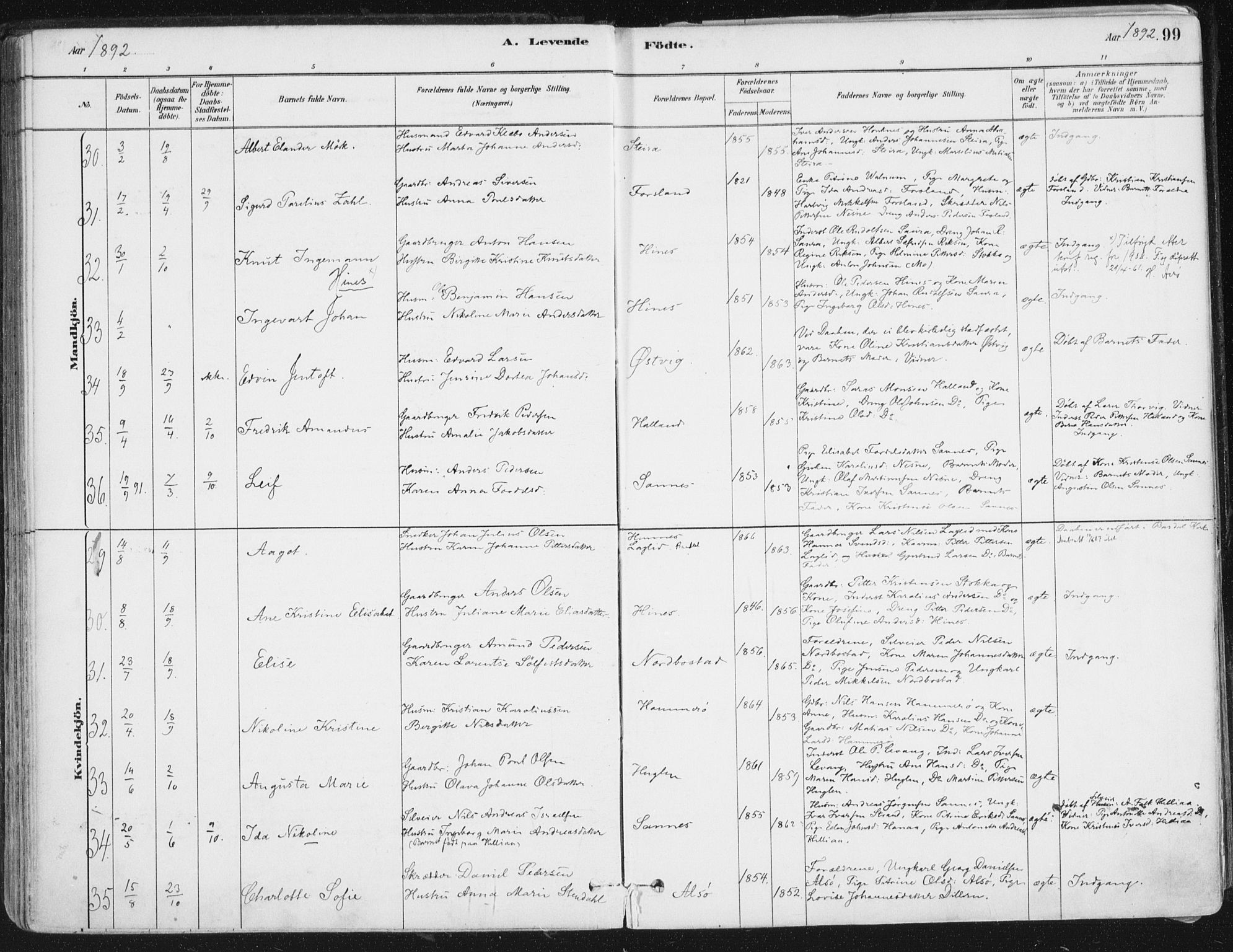 Ministerialprotokoller, klokkerbøker og fødselsregistre - Nordland, AV/SAT-A-1459/838/L0552: Parish register (official) no. 838A10, 1880-1910, p. 99