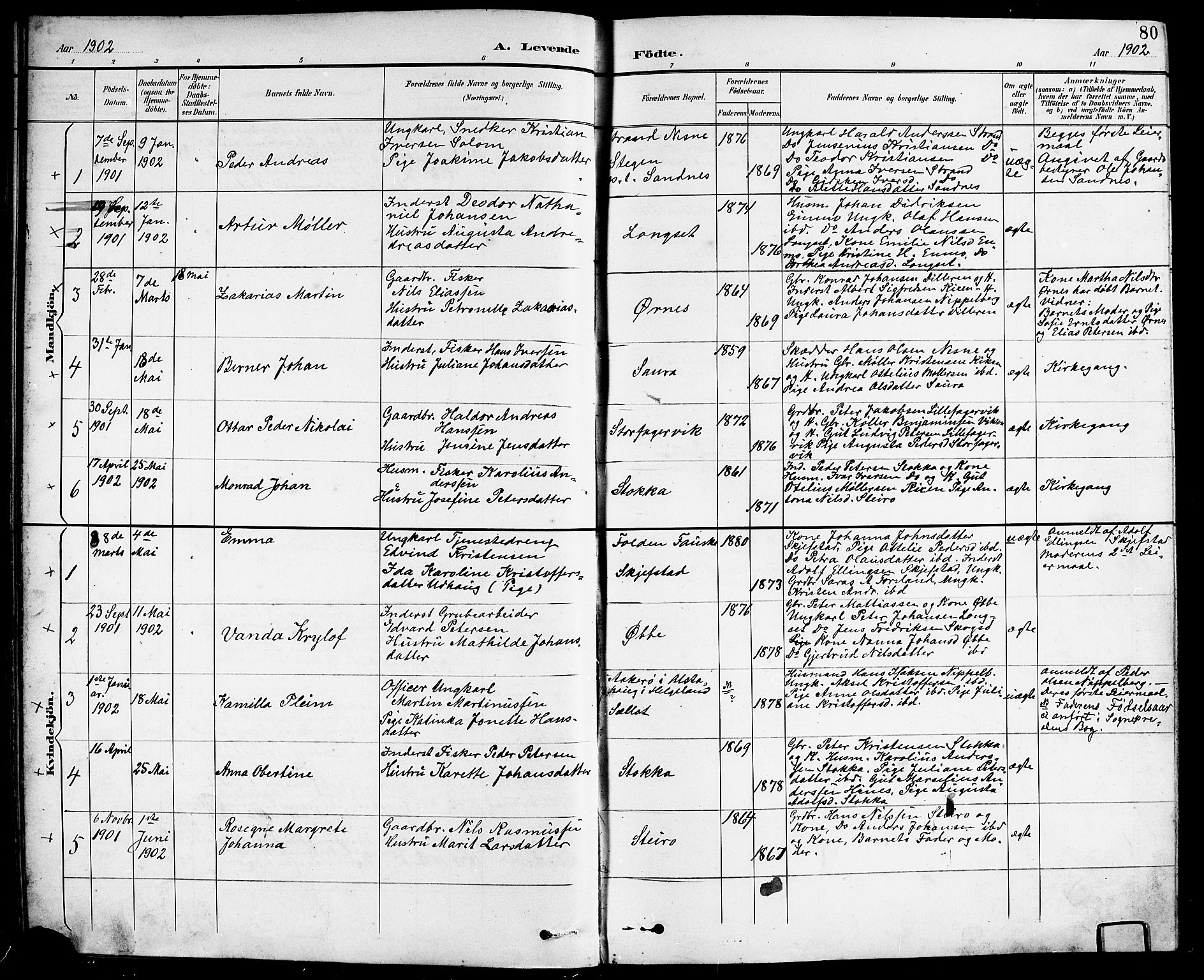 Ministerialprotokoller, klokkerbøker og fødselsregistre - Nordland, AV/SAT-A-1459/838/L0559: Parish register (copy) no. 838C06, 1893-1910, p. 80