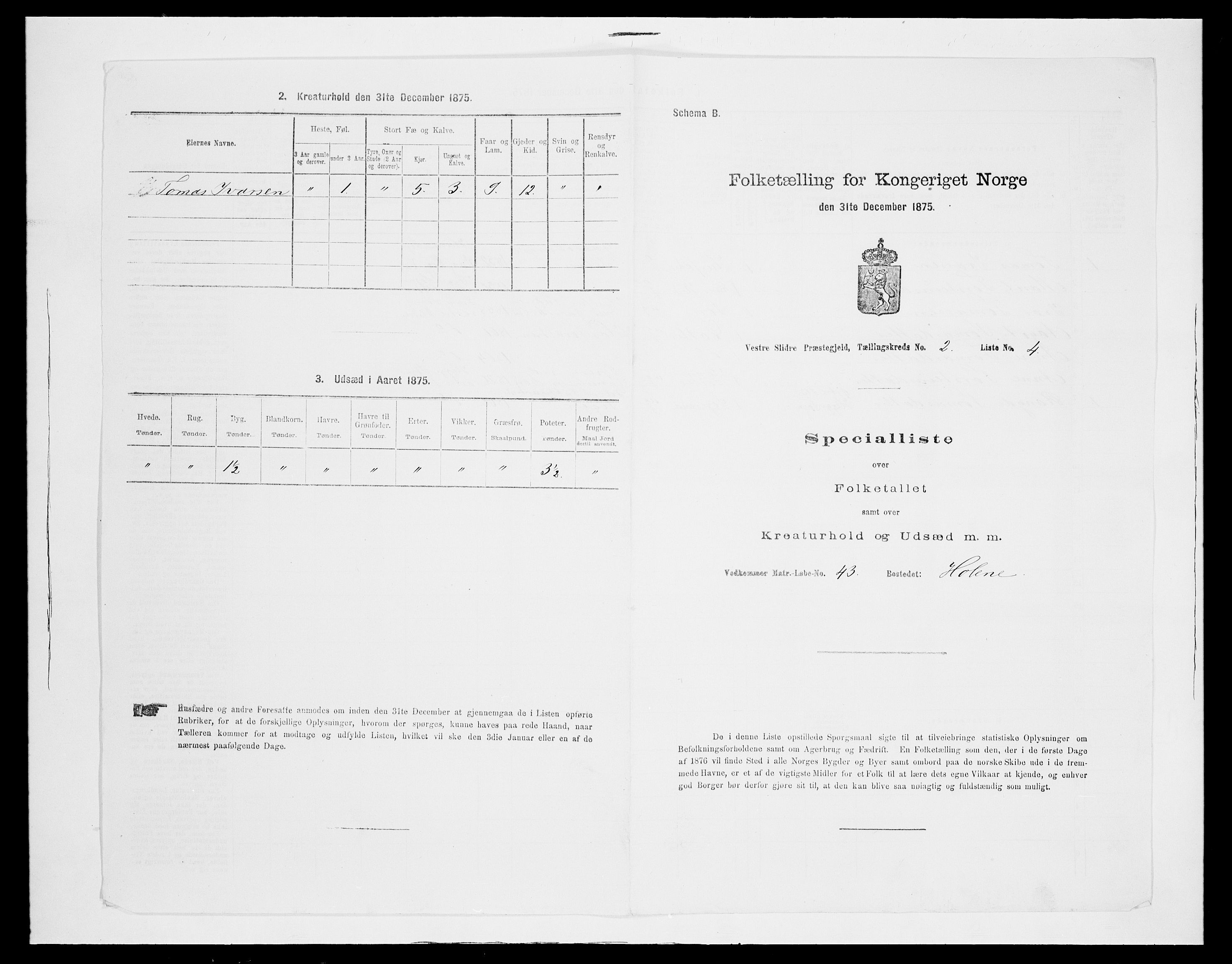 SAH, 1875 census for 0543P Vestre Slidre, 1875, p. 196