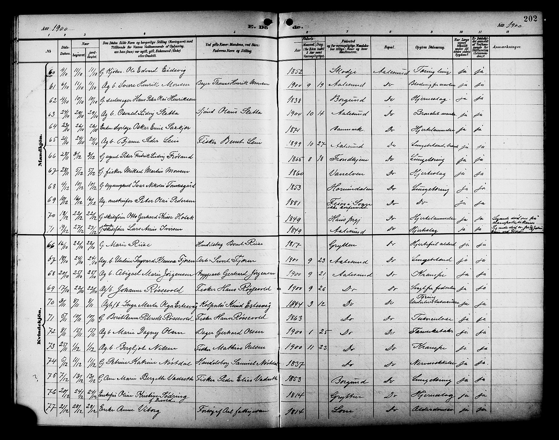 Ministerialprotokoller, klokkerbøker og fødselsregistre - Møre og Romsdal, SAT/A-1454/529/L0469: Parish register (copy) no. 529C06, 1898-1906, p. 202