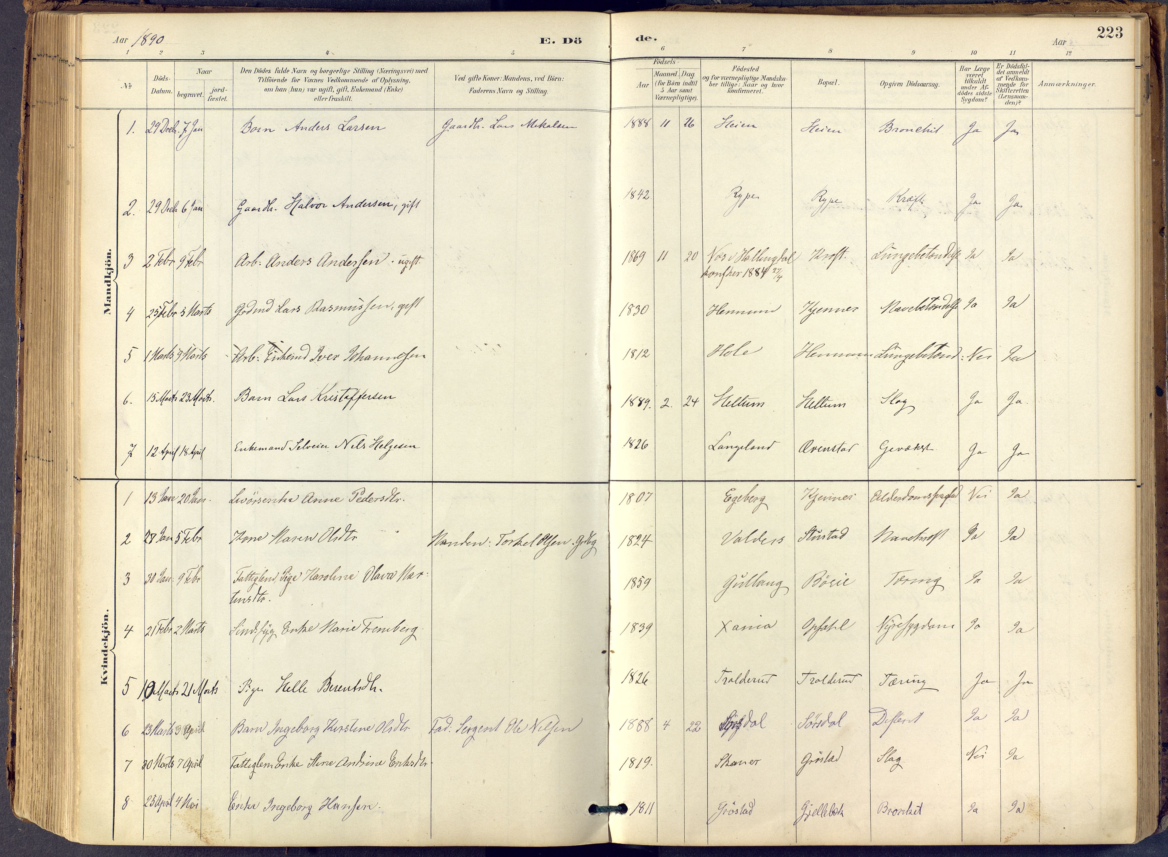 Lier kirkebøker, SAKO/A-230/F/Fb/L0001: Parish register (official) no. II 1, 1883-1910, p. 223