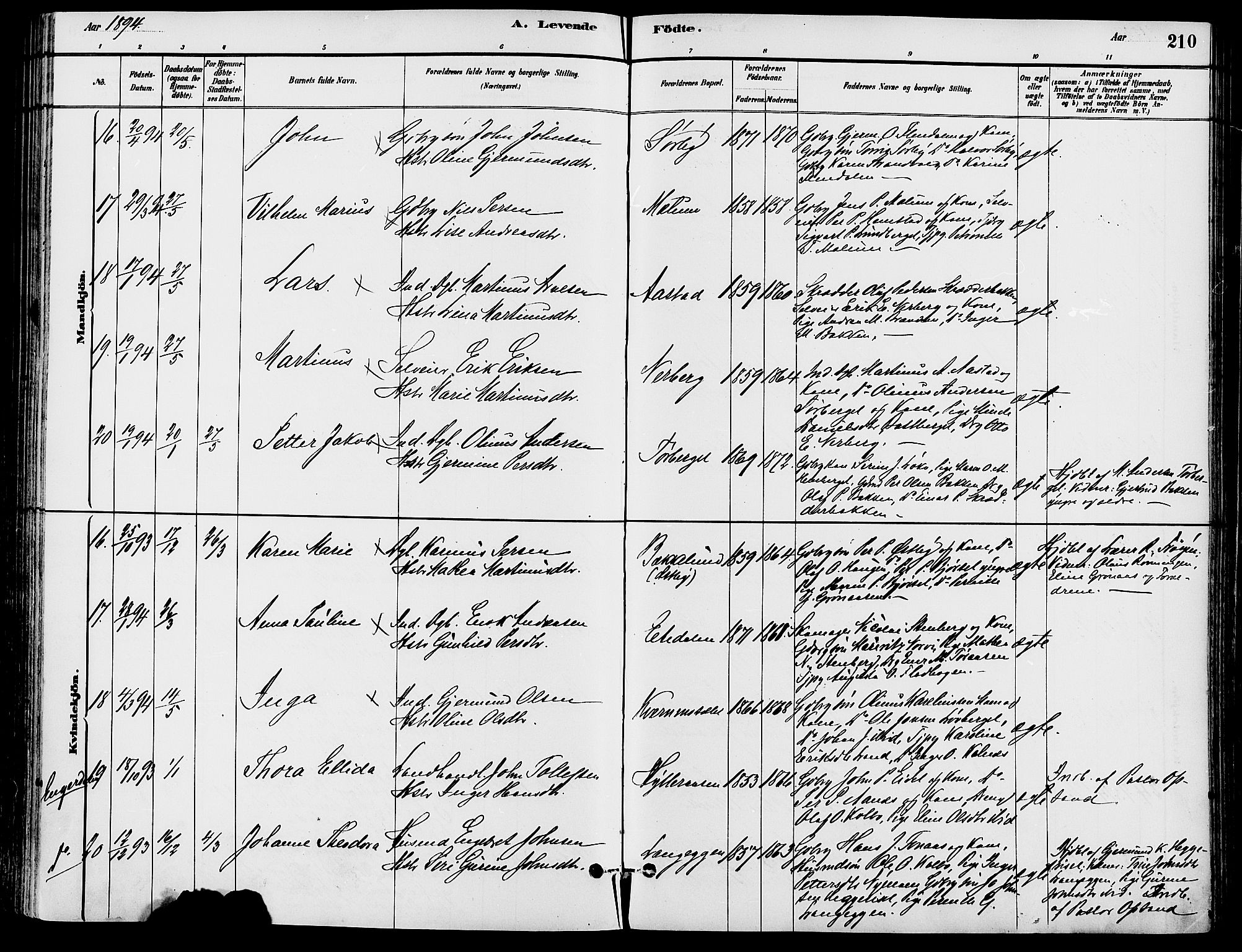 Trysil prestekontor, AV/SAH-PREST-046/H/Ha/Haa/L0008: Parish register (official) no. 8, 1881-1897, p. 210