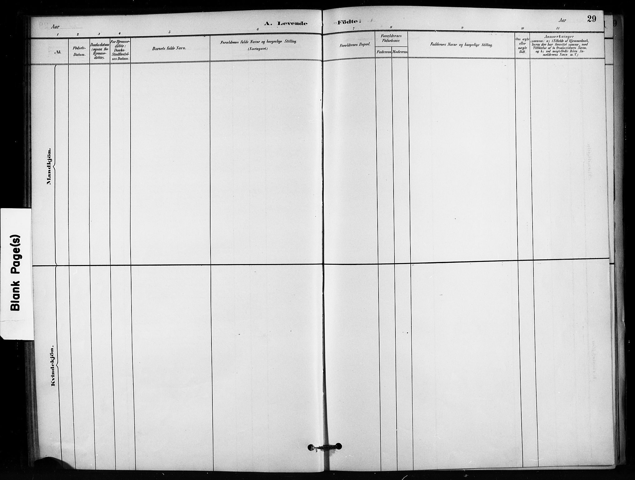 Enebakk prestekontor Kirkebøker, AV/SAO-A-10171c/F/Fb/L0001: Parish register (official) no. II 1, 1877-1902, p. 29