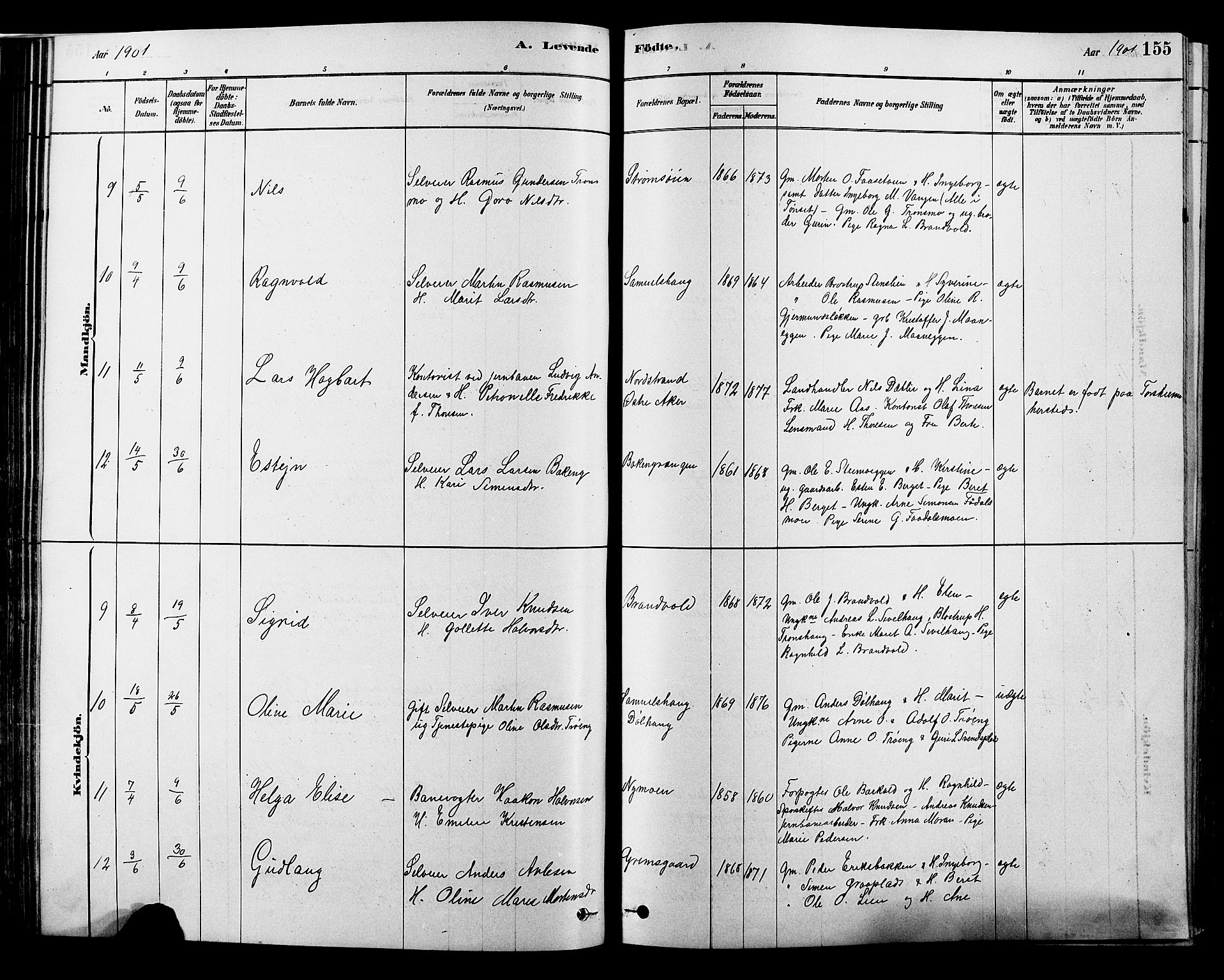 Alvdal prestekontor, AV/SAH-PREST-060/H/Ha/Hab/L0003: Parish register (copy) no. 3, 1878-1907, p. 155