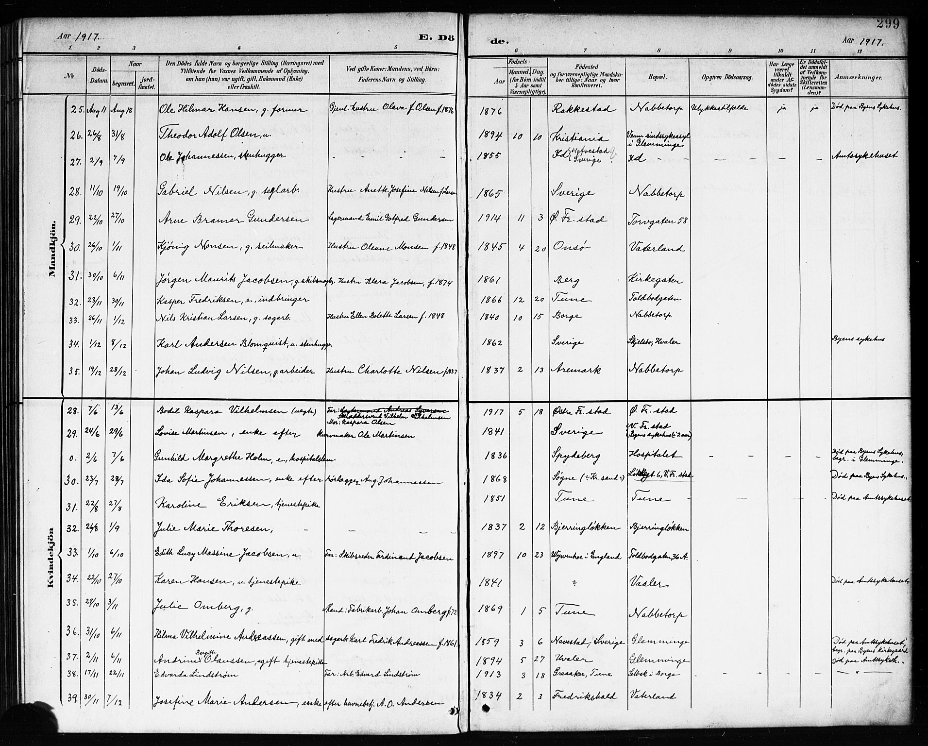 Østre Fredrikstad prestekontor Kirkebøker, AV/SAO-A-10907/G/Ga/L0002: Parish register (copy) no. 2, 1900-1919, p. 299