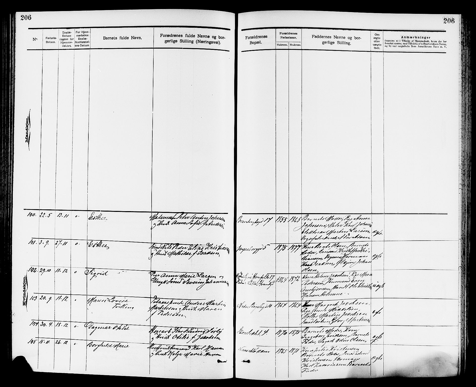 Larvik kirkebøker, SAKO/A-352/G/Ga/L0005: Parish register (copy) no. I 5, 1888-1909, p. 206