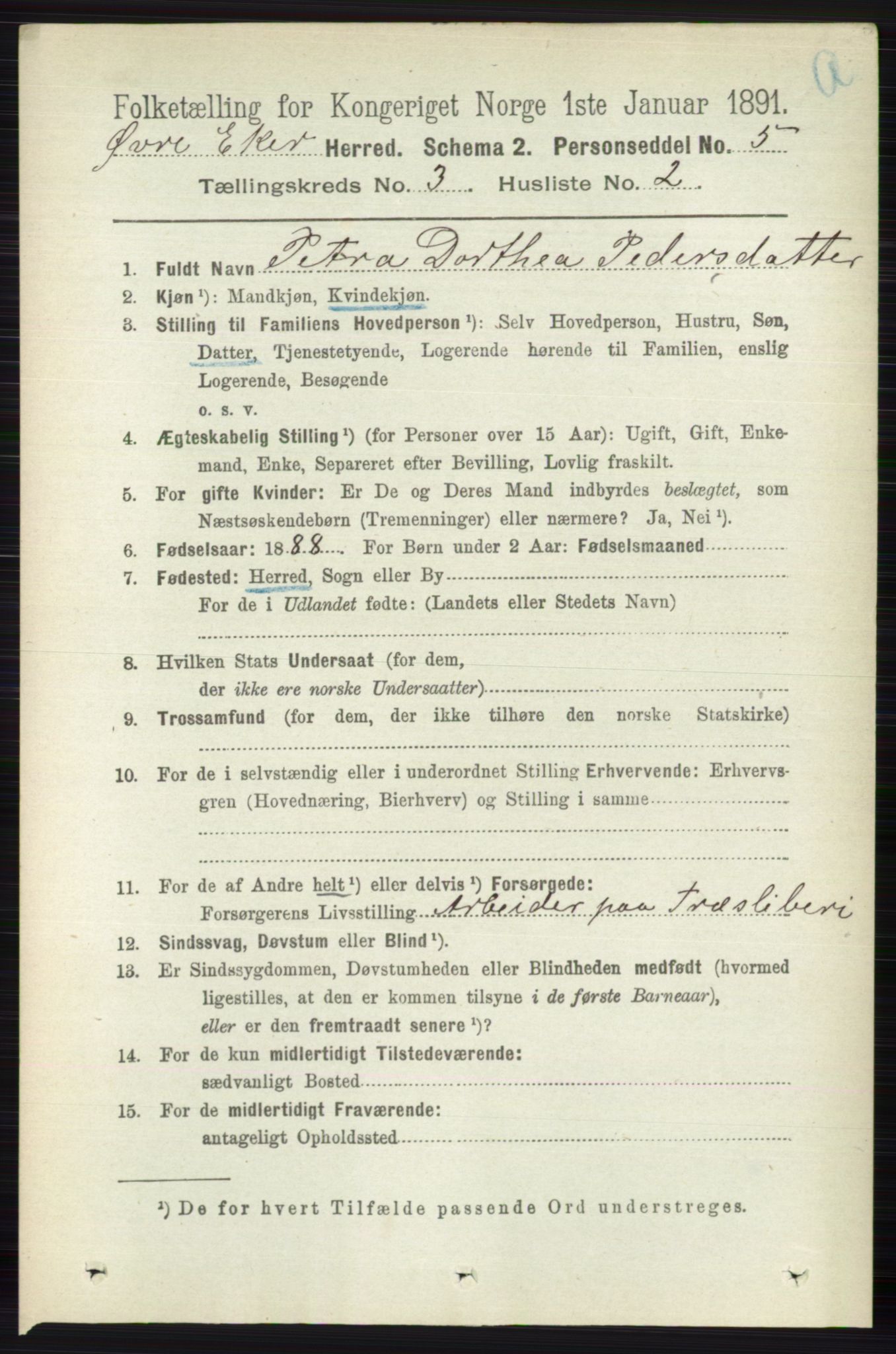 RA, 1891 census for 0624 Øvre Eiker, 1891, p. 998