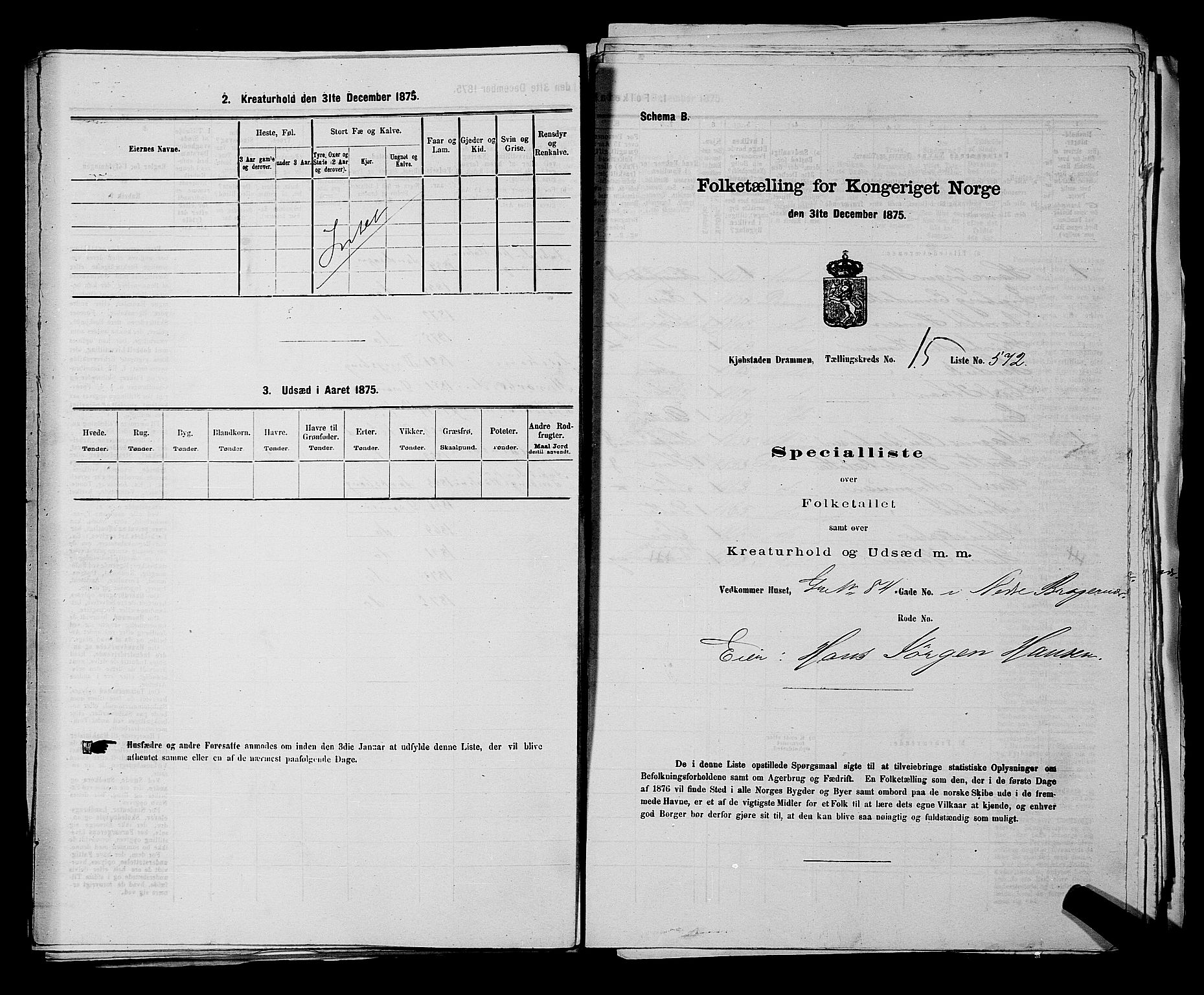 SAKO, 1875 census for 0602 Drammen, 1875, p. 1696