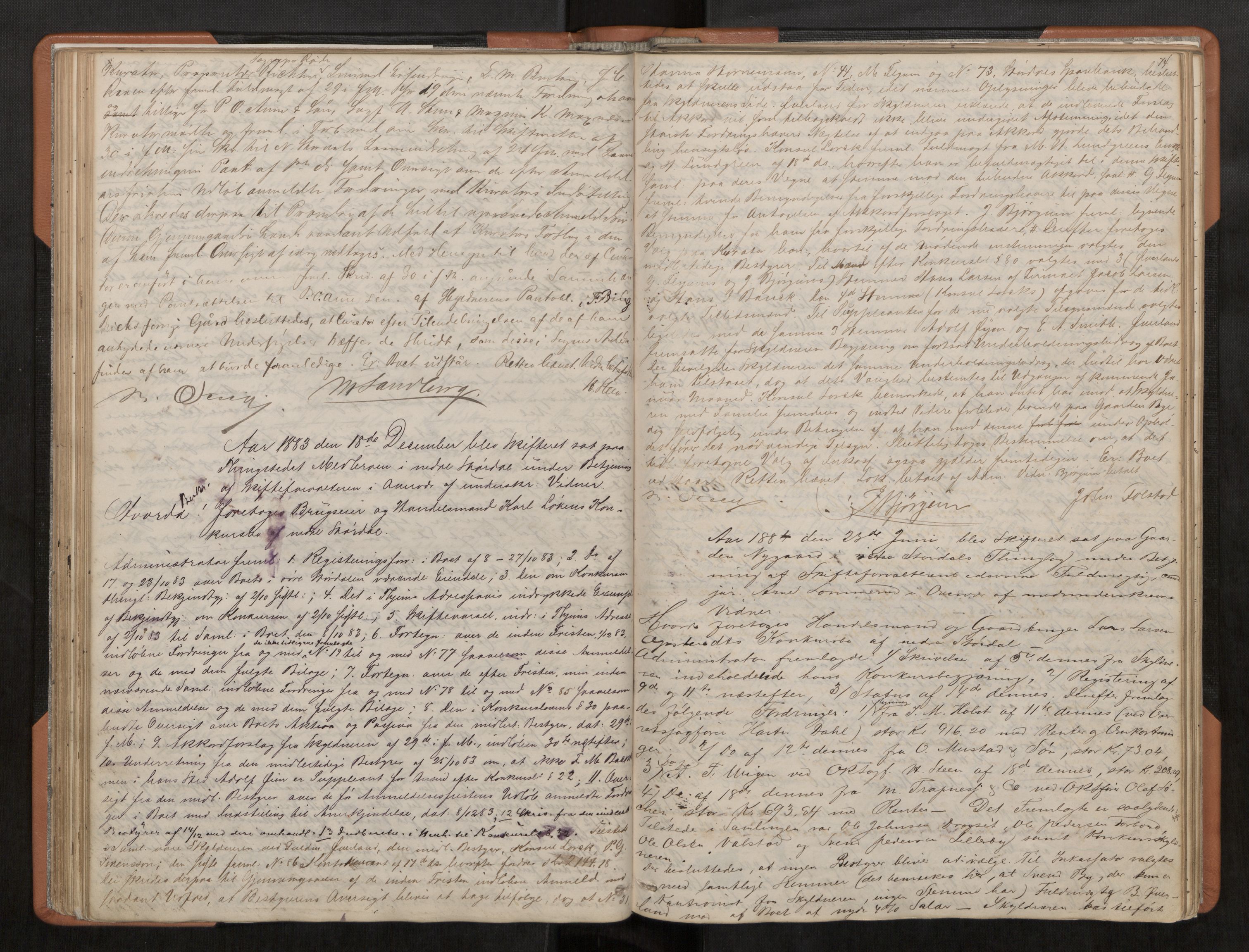 Stjør- og Verdal sorenskriveri, AV/SAT-A-4167/1/3/3B/L0002: Skifteforhandlingsprotokoll, 1870-1901, p. 74